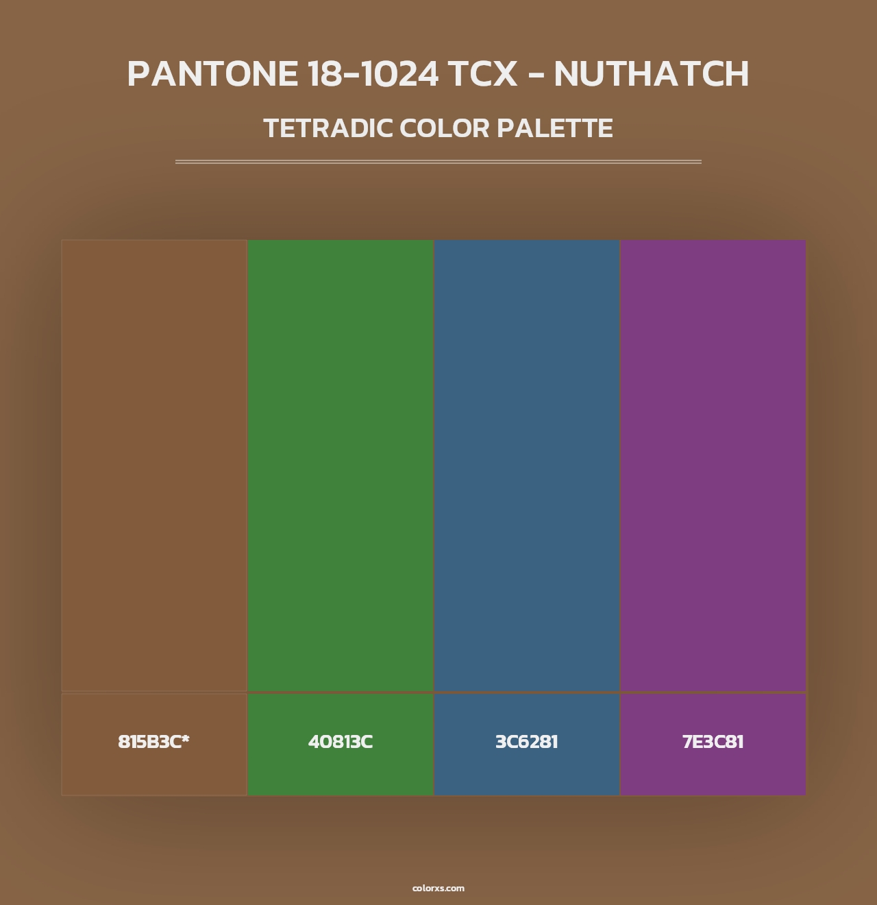PANTONE 18-1024 TCX - Nuthatch - Tetradic Color Palette