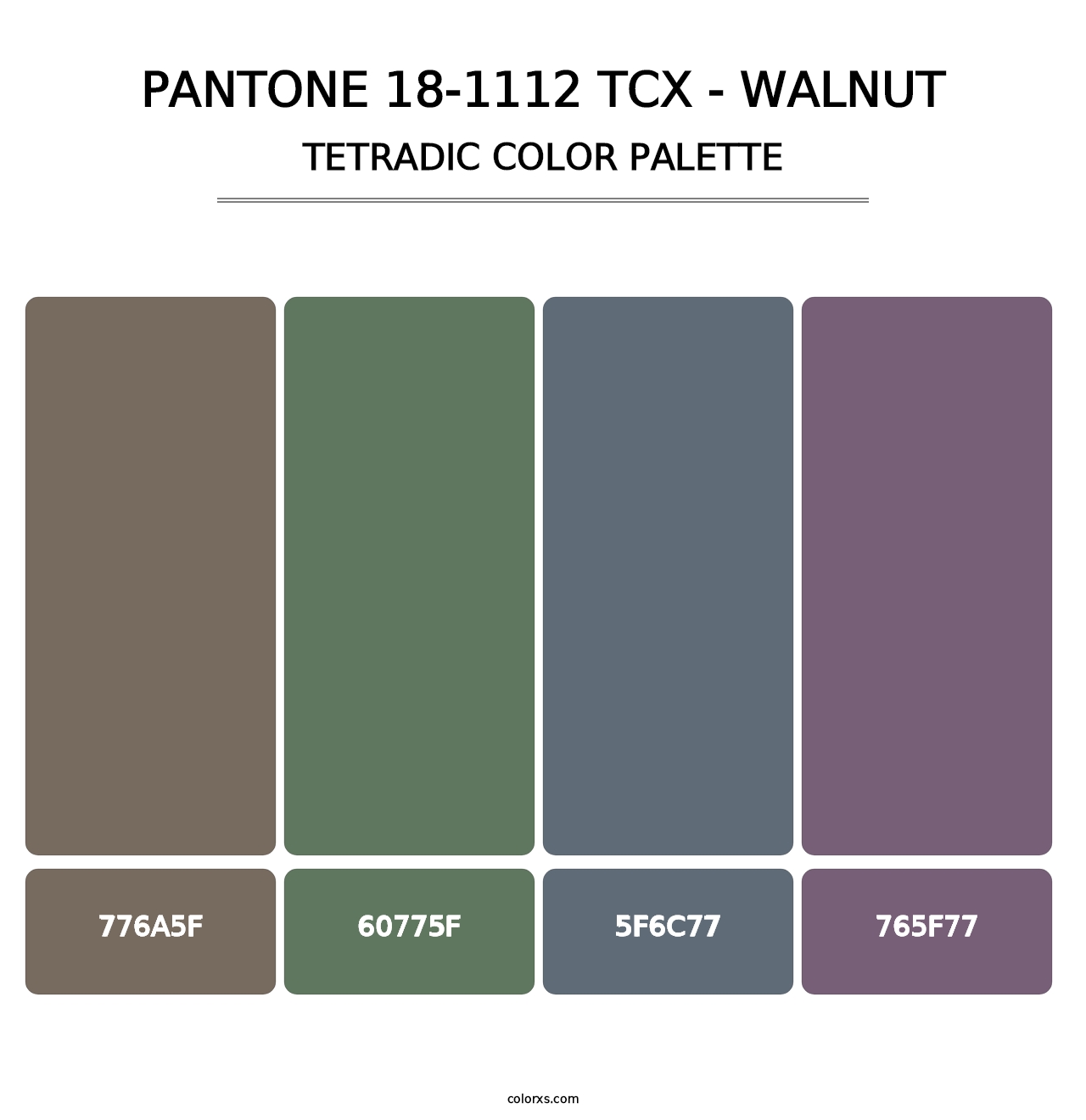 PANTONE 18-1112 TCX - Walnut - Tetradic Color Palette