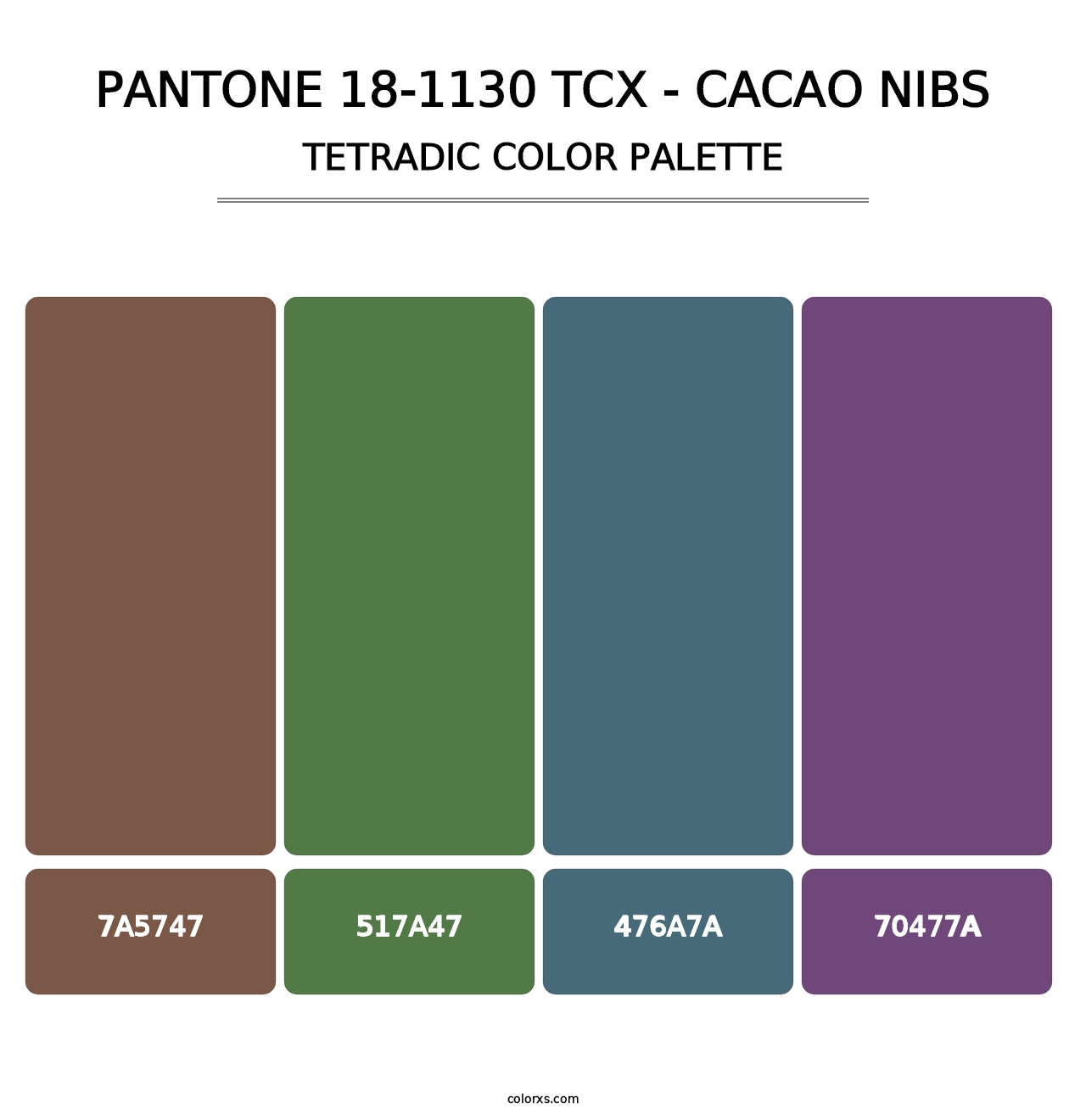 PANTONE 18-1130 TCX - Cacao Nibs - Tetradic Color Palette