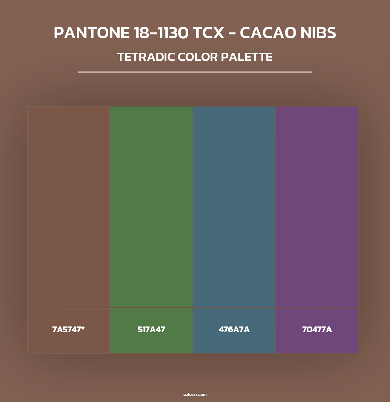 PANTONE 18-1130 TCX - Cacao Nibs - Tetradic Color Palette
