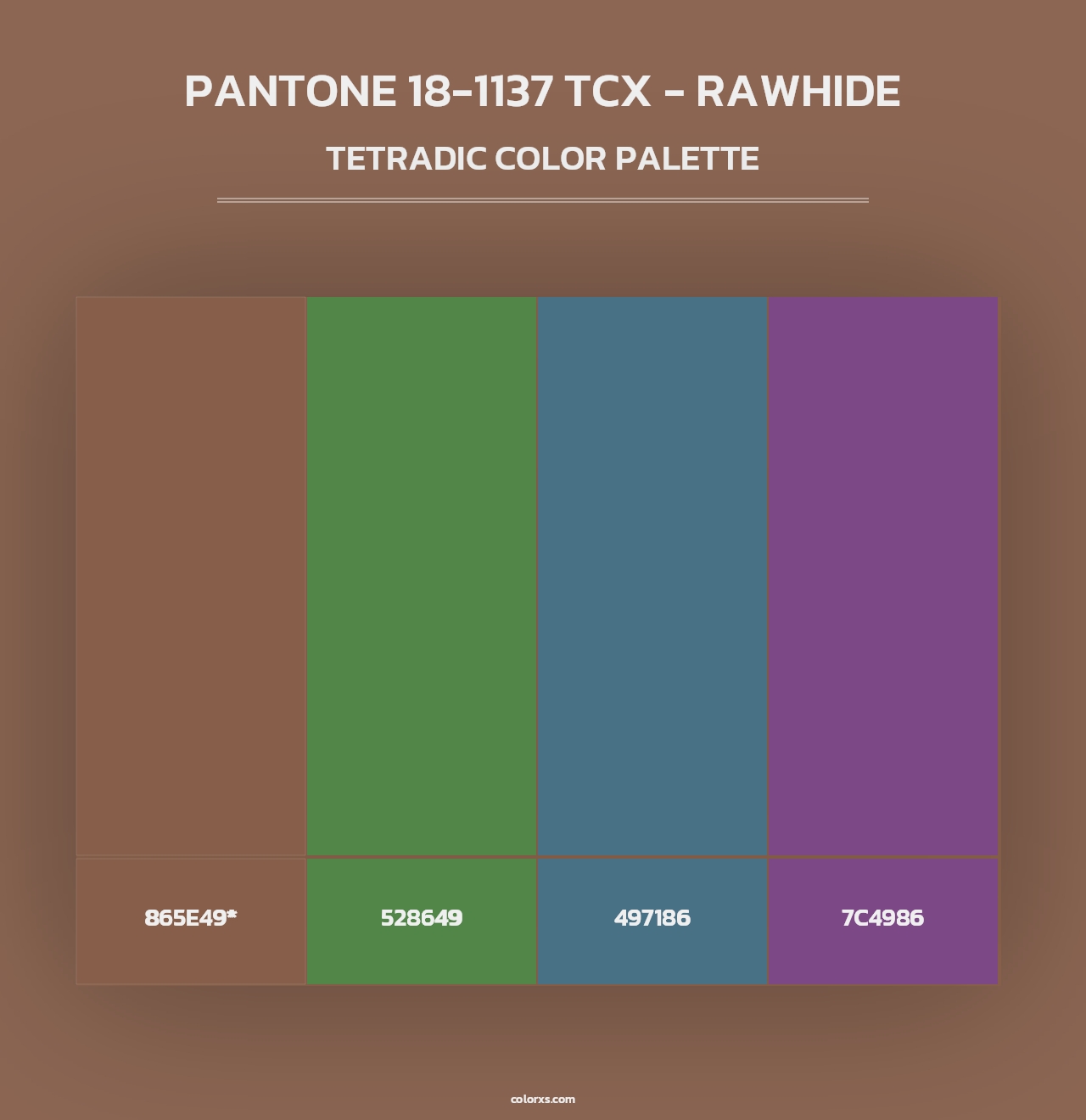 PANTONE 18-1137 TCX - Rawhide - Tetradic Color Palette