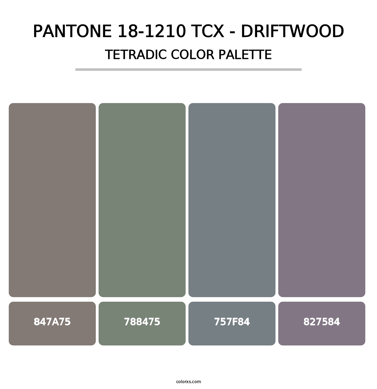 PANTONE 18-1210 TCX - Driftwood - Tetradic Color Palette
