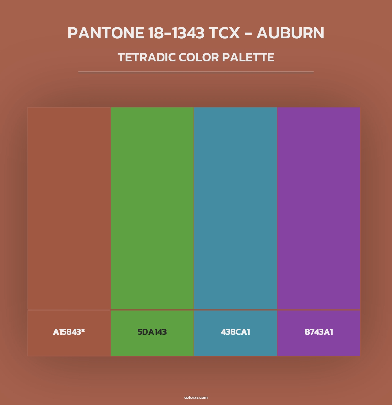 PANTONE 18-1343 TCX - Auburn - Tetradic Color Palette