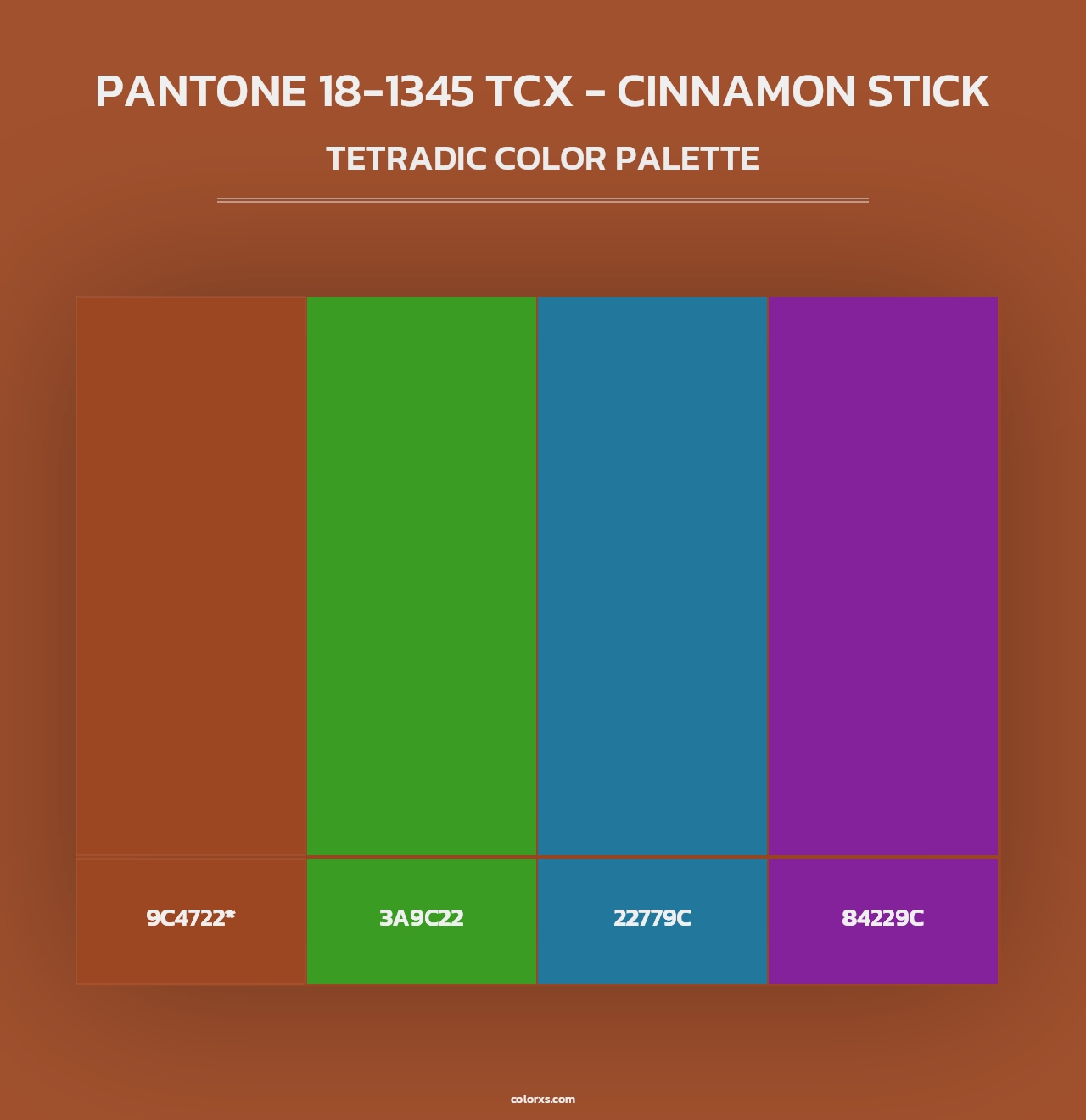 PANTONE 18-1345 TCX - Cinnamon Stick - Tetradic Color Palette