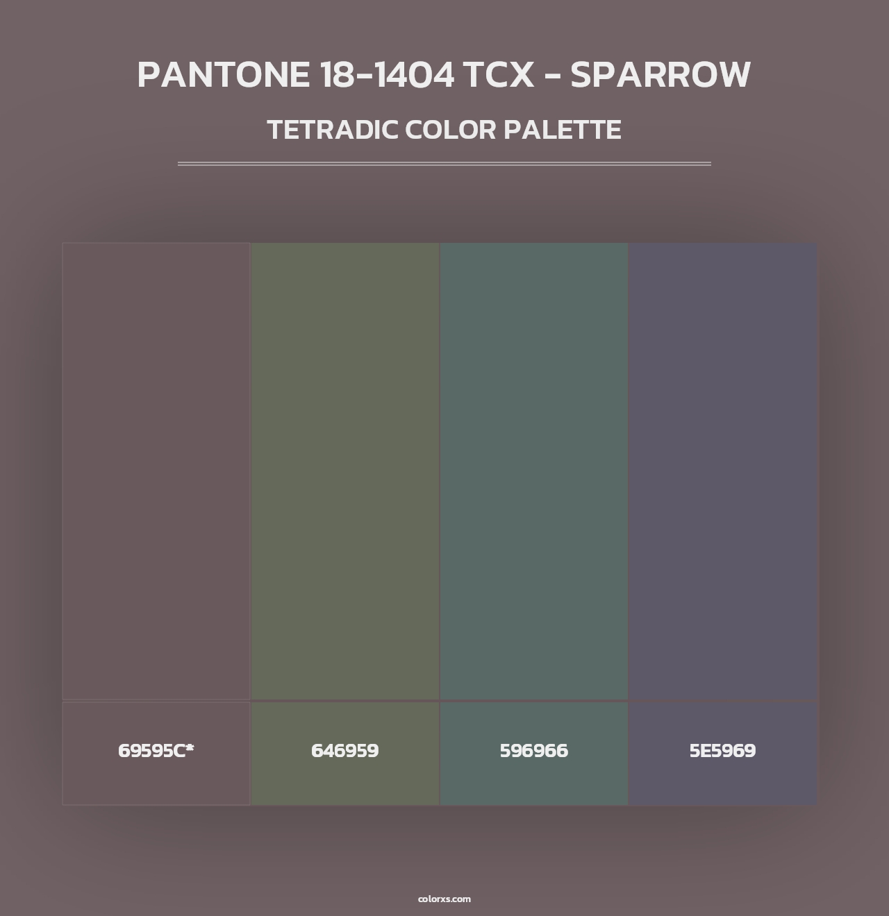 PANTONE 18-1404 TCX - Sparrow - Tetradic Color Palette