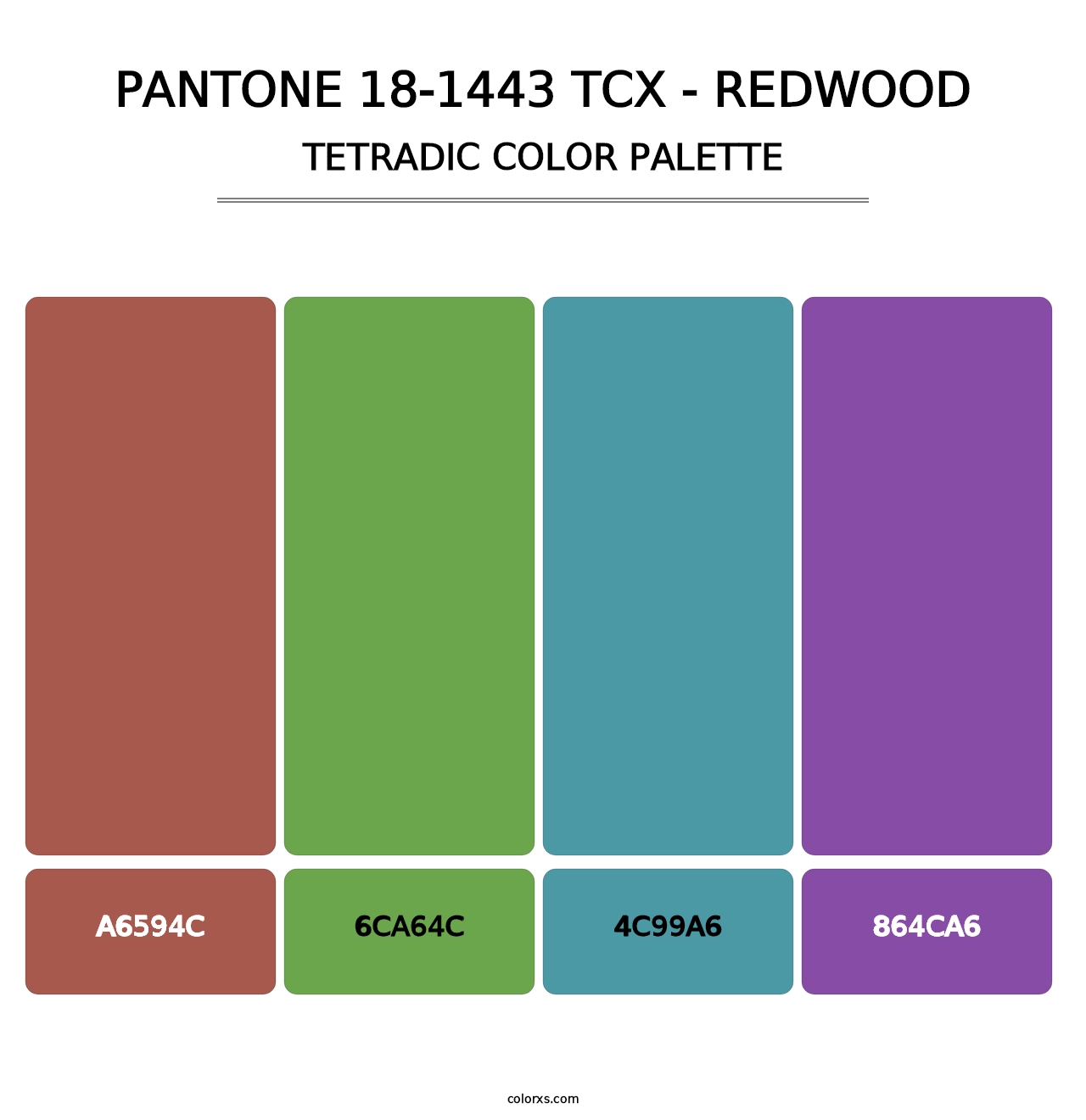 PANTONE 18-1443 TCX - Redwood - Tetradic Color Palette