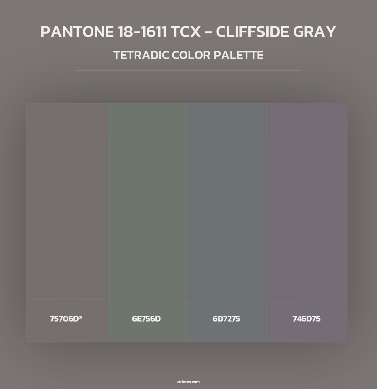 PANTONE 18-1611 TCX - Cliffside Gray - Tetradic Color Palette