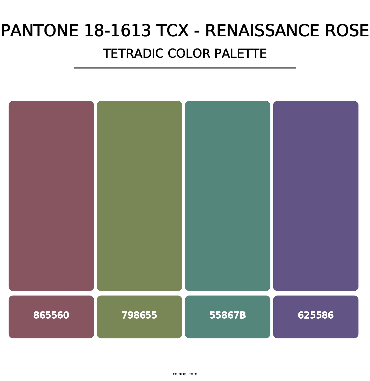 PANTONE 18-1613 TCX - Renaissance Rose - Tetradic Color Palette