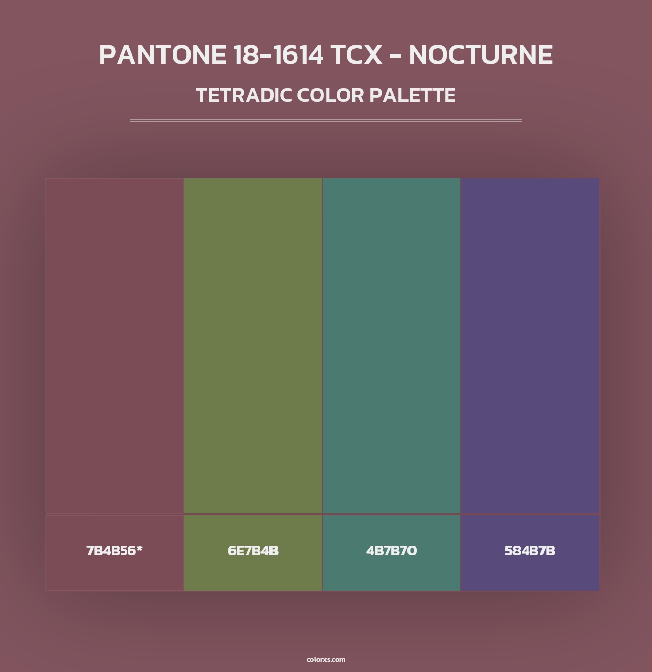 PANTONE 18-1614 TCX - Nocturne - Tetradic Color Palette