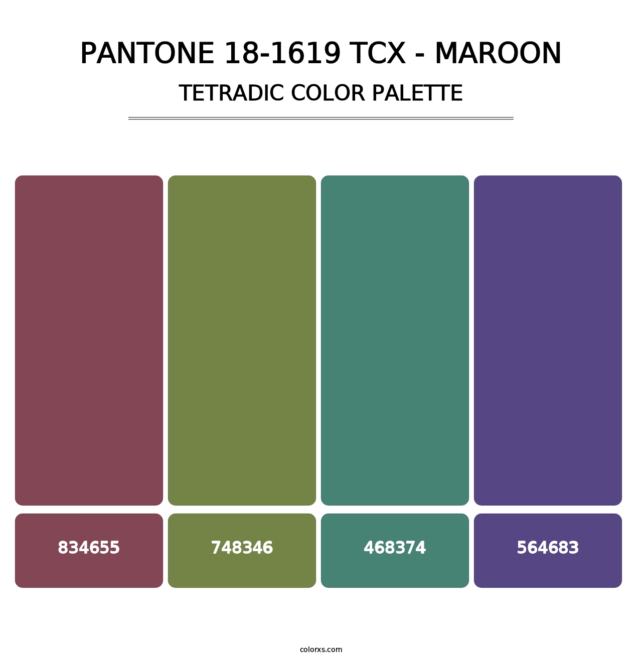 PANTONE 18-1619 TCX - Maroon - Tetradic Color Palette