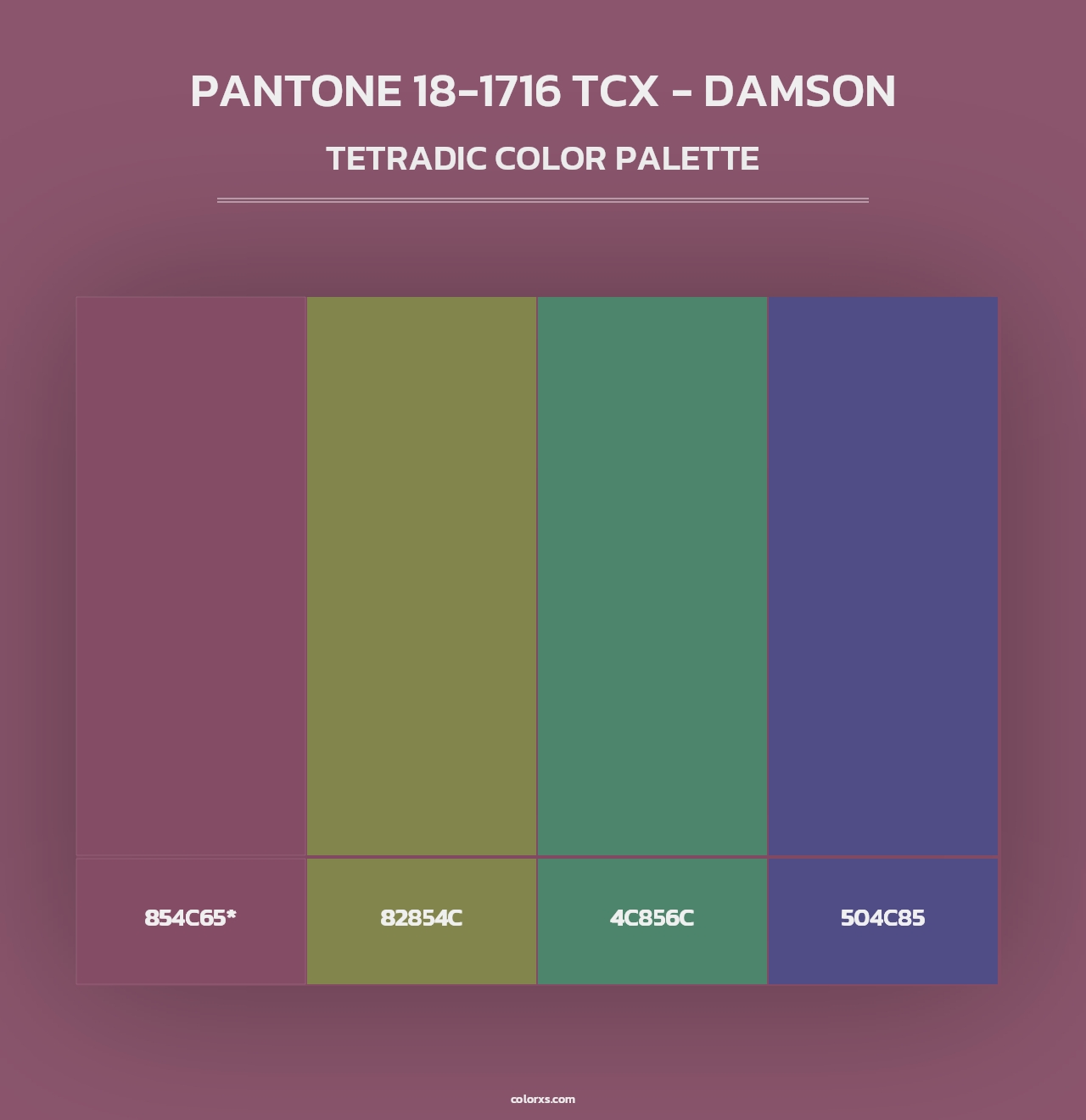 PANTONE 18-1716 TCX - Damson - Tetradic Color Palette