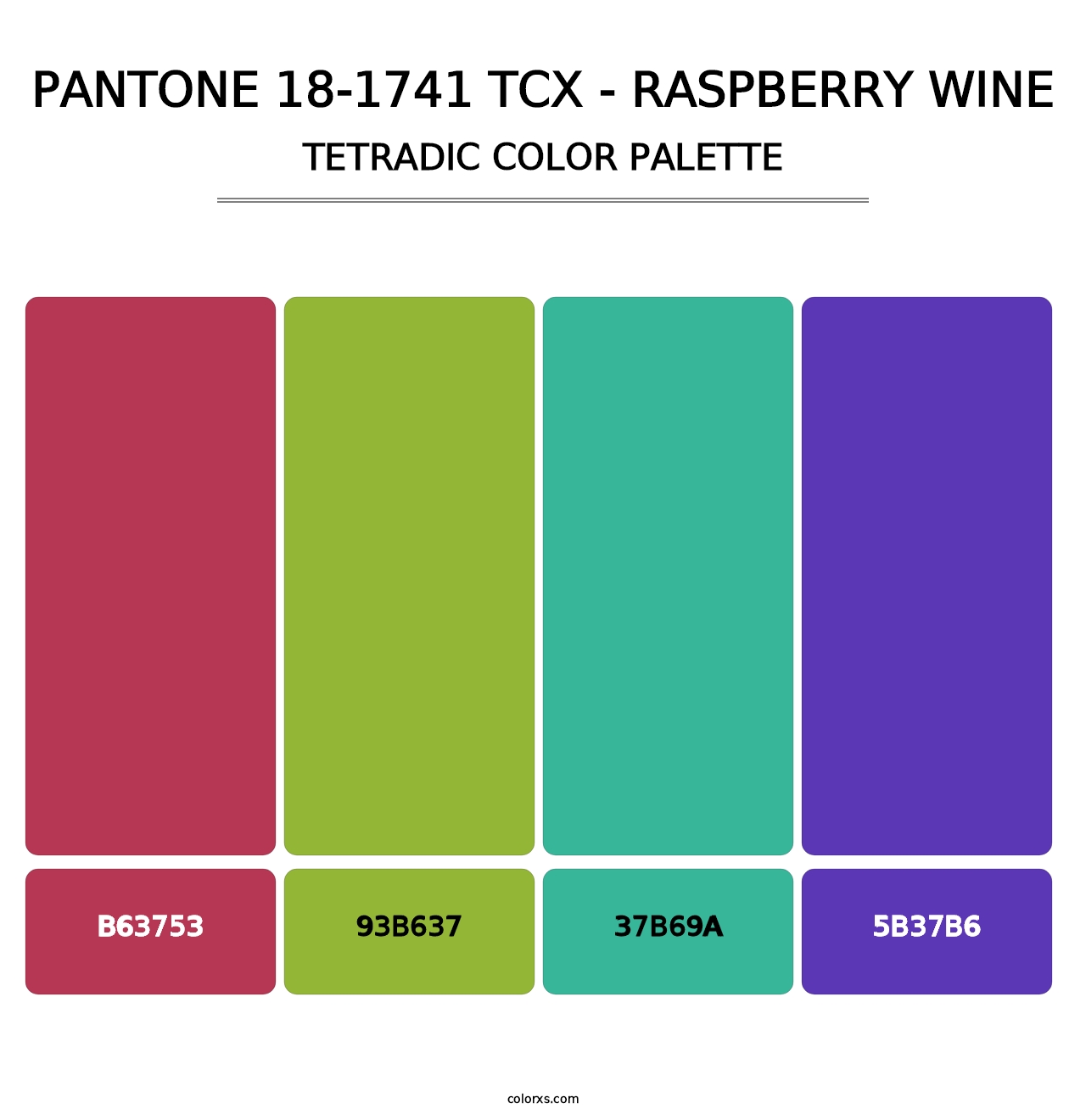 PANTONE 18-1741 TCX - Raspberry Wine - Tetradic Color Palette