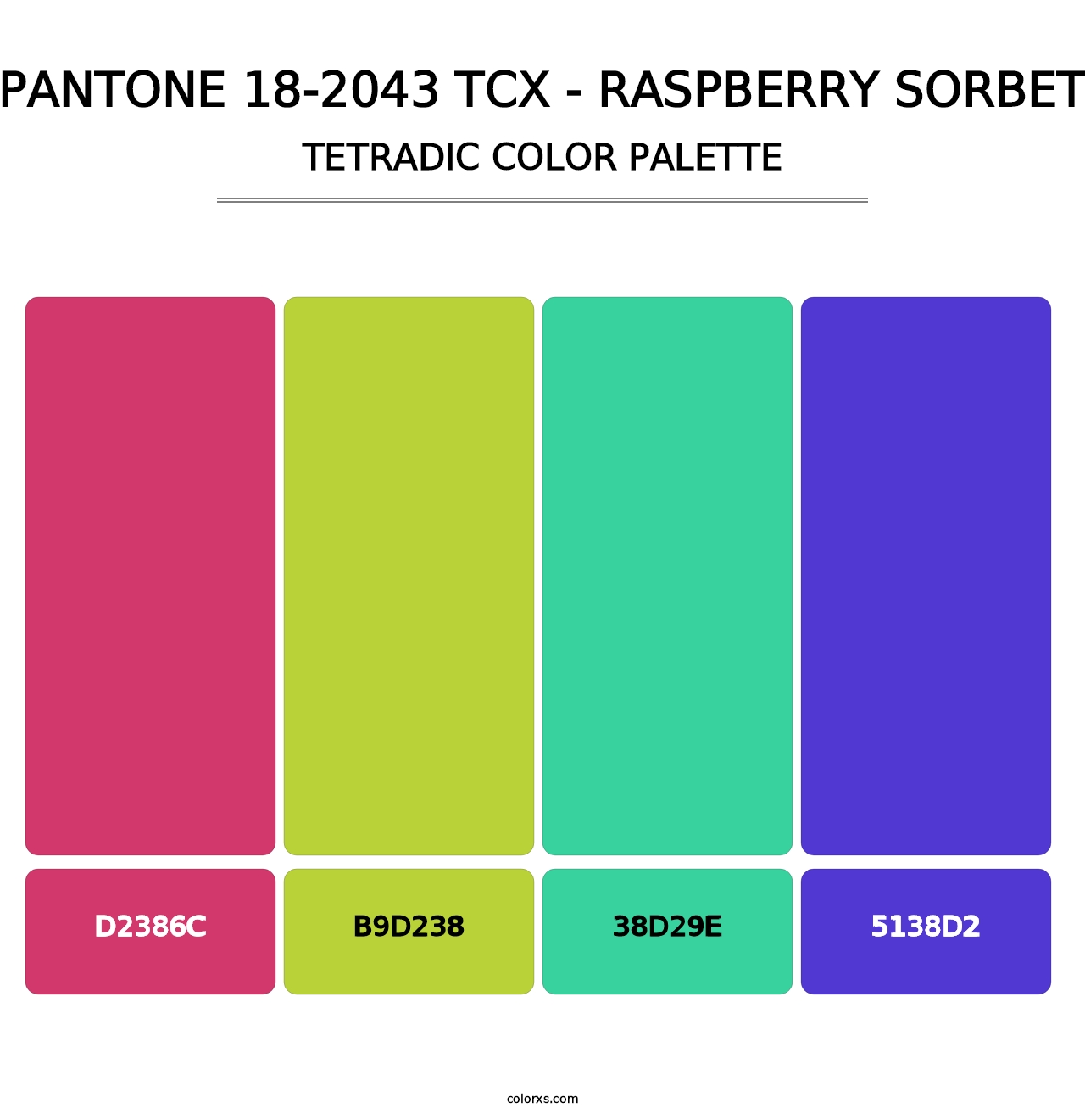 PANTONE 18-2043 TCX - Raspberry Sorbet - Tetradic Color Palette