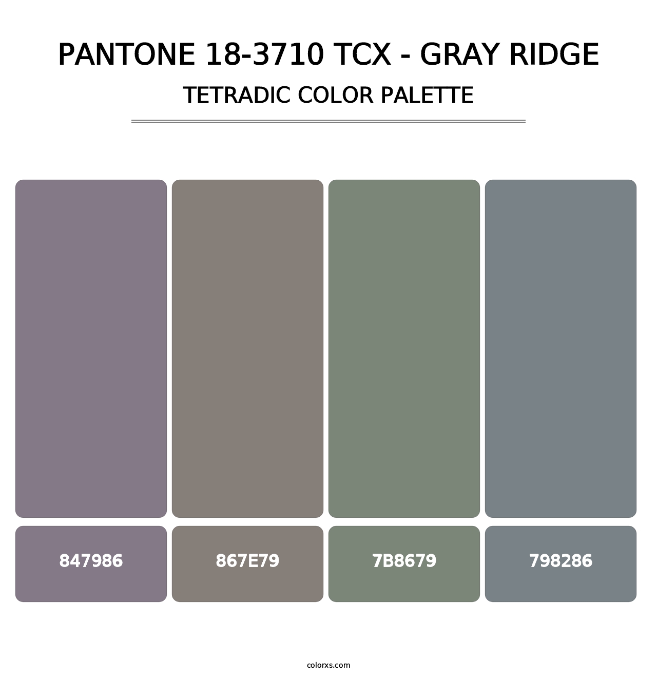 PANTONE 18-3710 TCX - Gray Ridge - Tetradic Color Palette