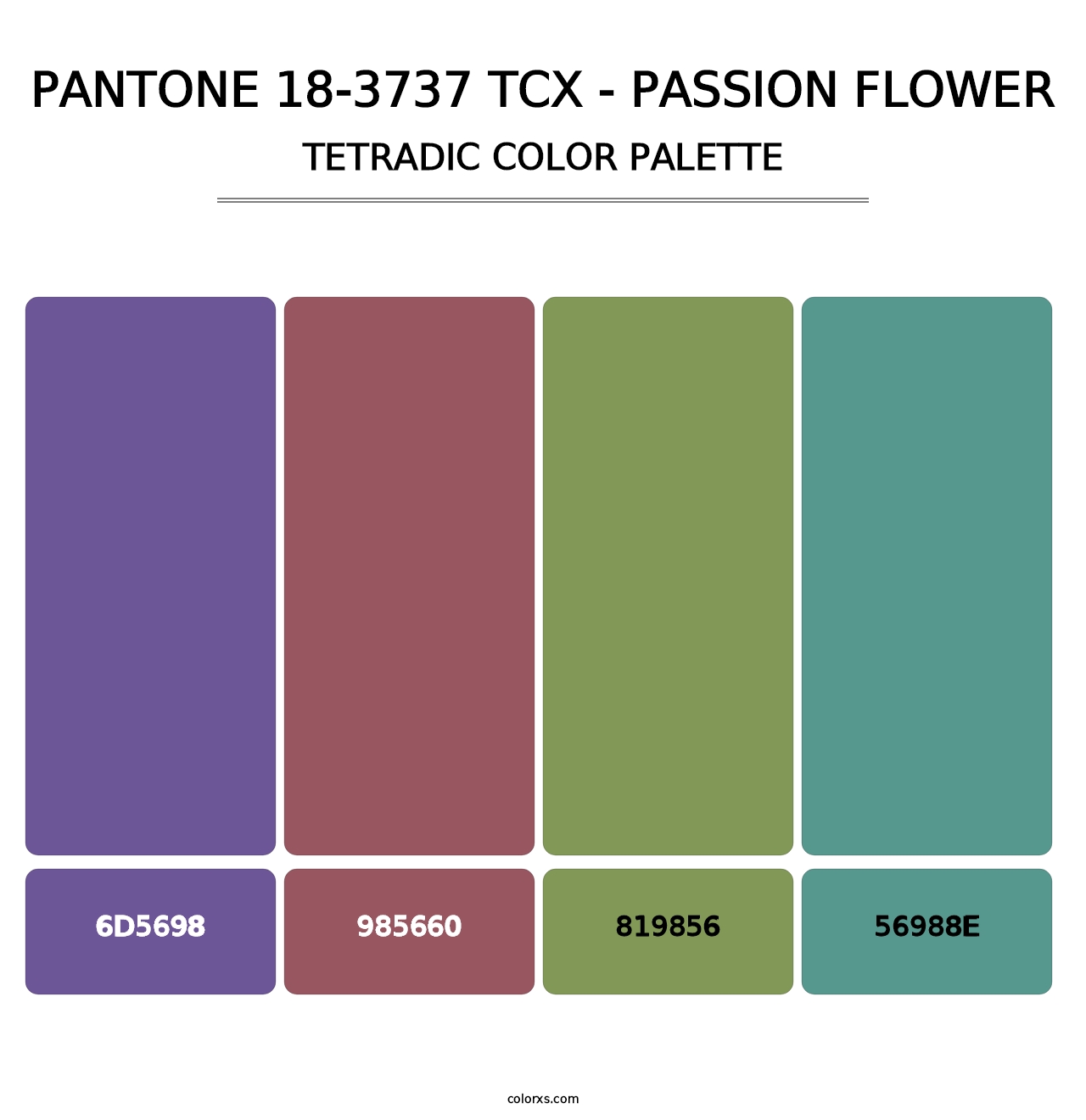 PANTONE 18-3737 TCX - Passion Flower - Tetradic Color Palette
