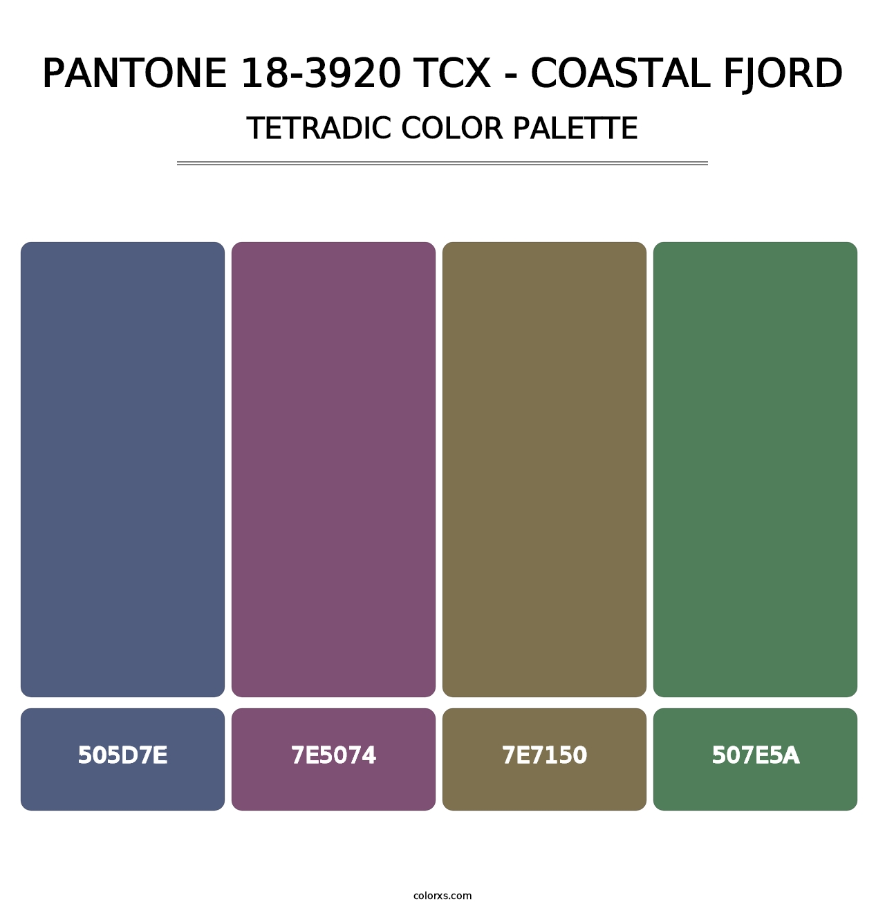 PANTONE 18-3920 TCX - Coastal Fjord - Tetradic Color Palette