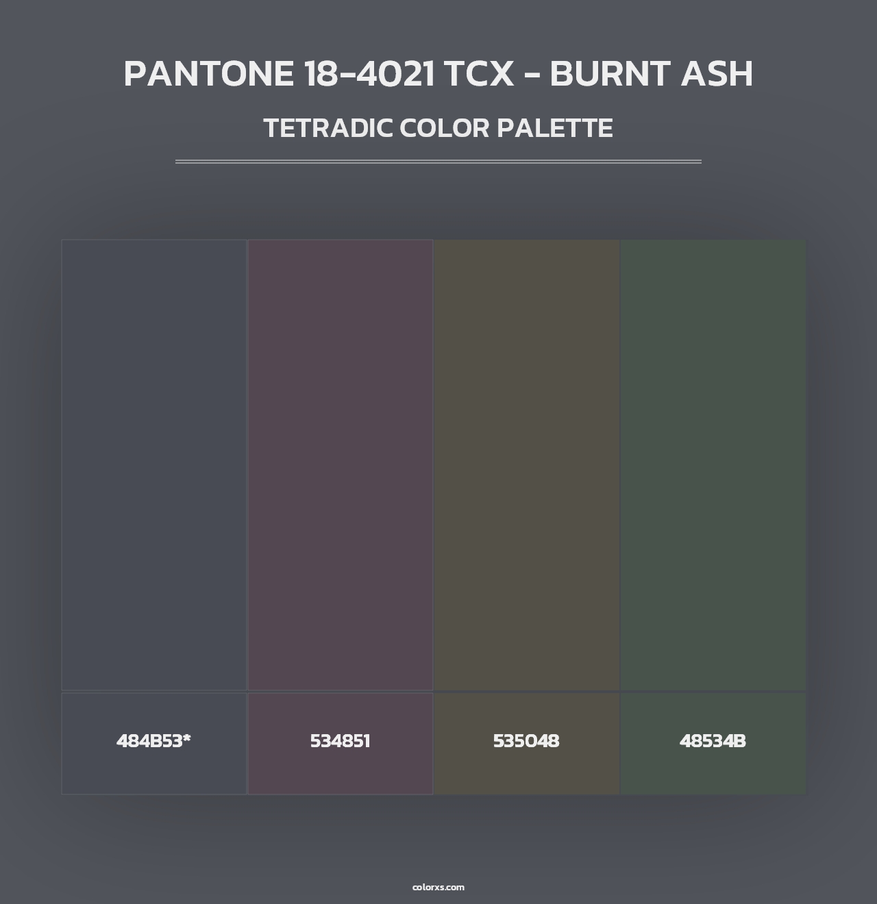 PANTONE 18-4021 TCX - Burnt Ash - Tetradic Color Palette
