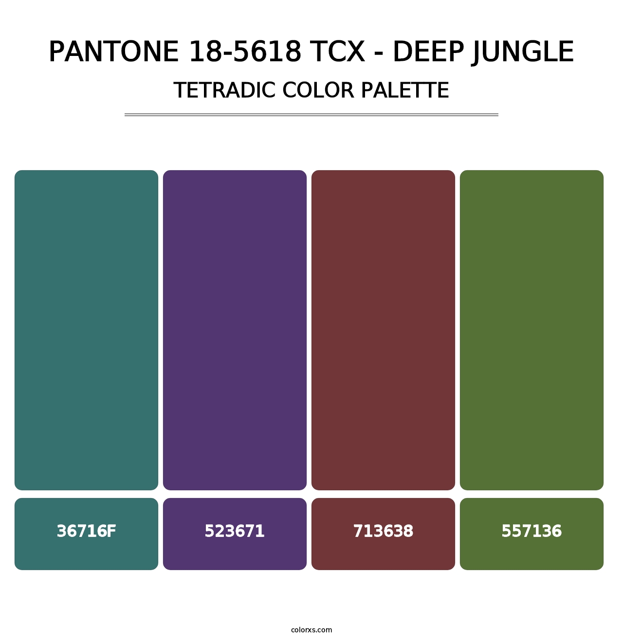 PANTONE 18-5618 TCX - Deep Jungle - Tetradic Color Palette