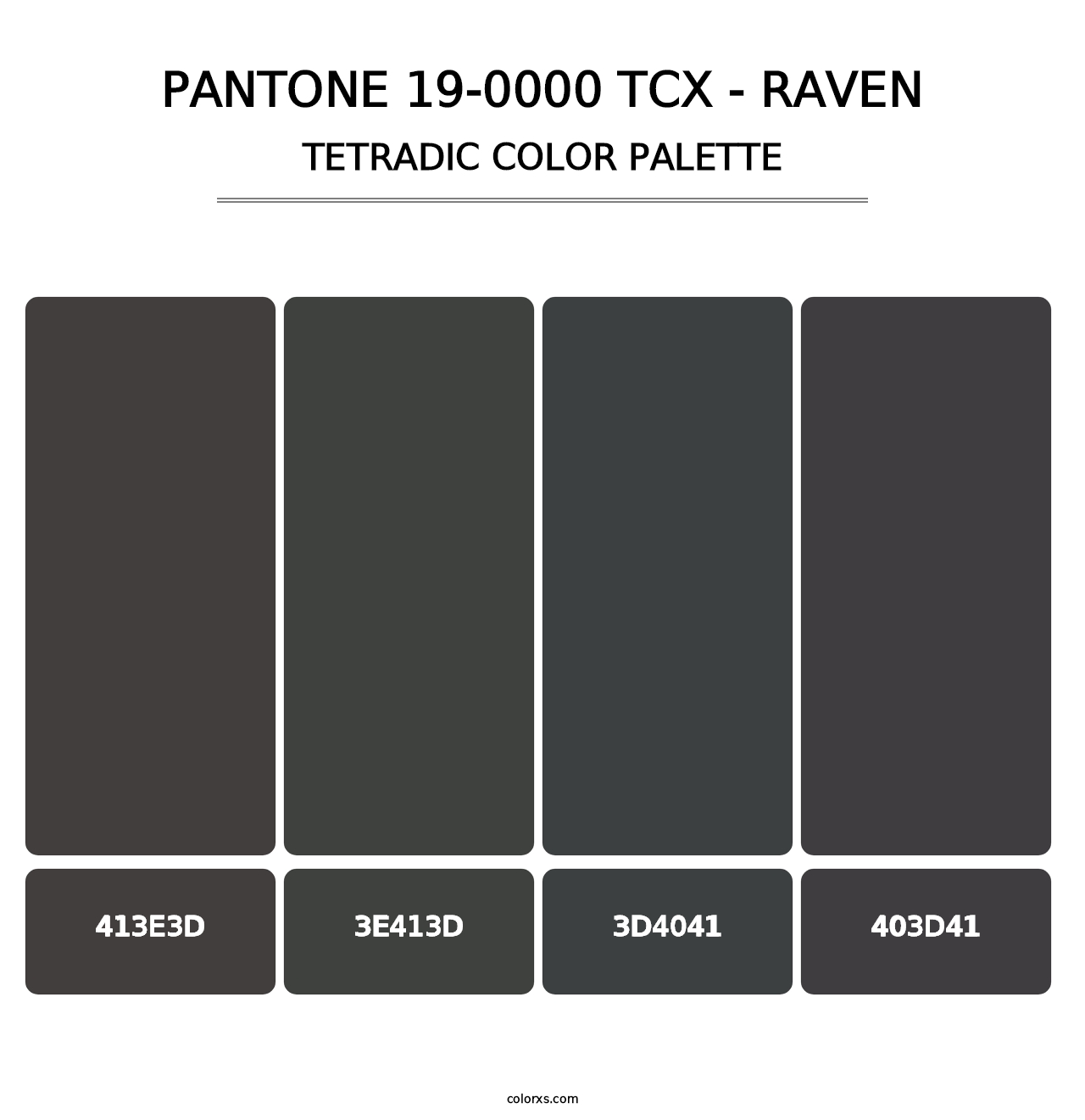 PANTONE 19-0000 TCX - Raven - Tetradic Color Palette