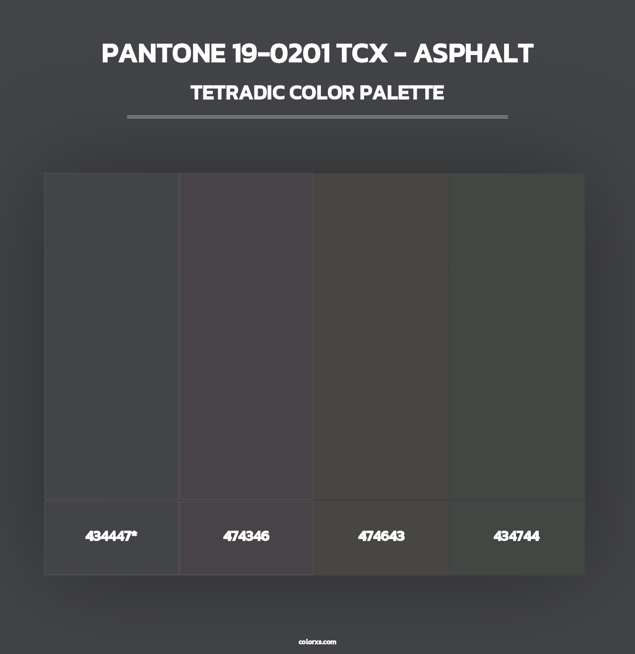 PANTONE 19-0201 TCX - Asphalt - Tetradic Color Palette