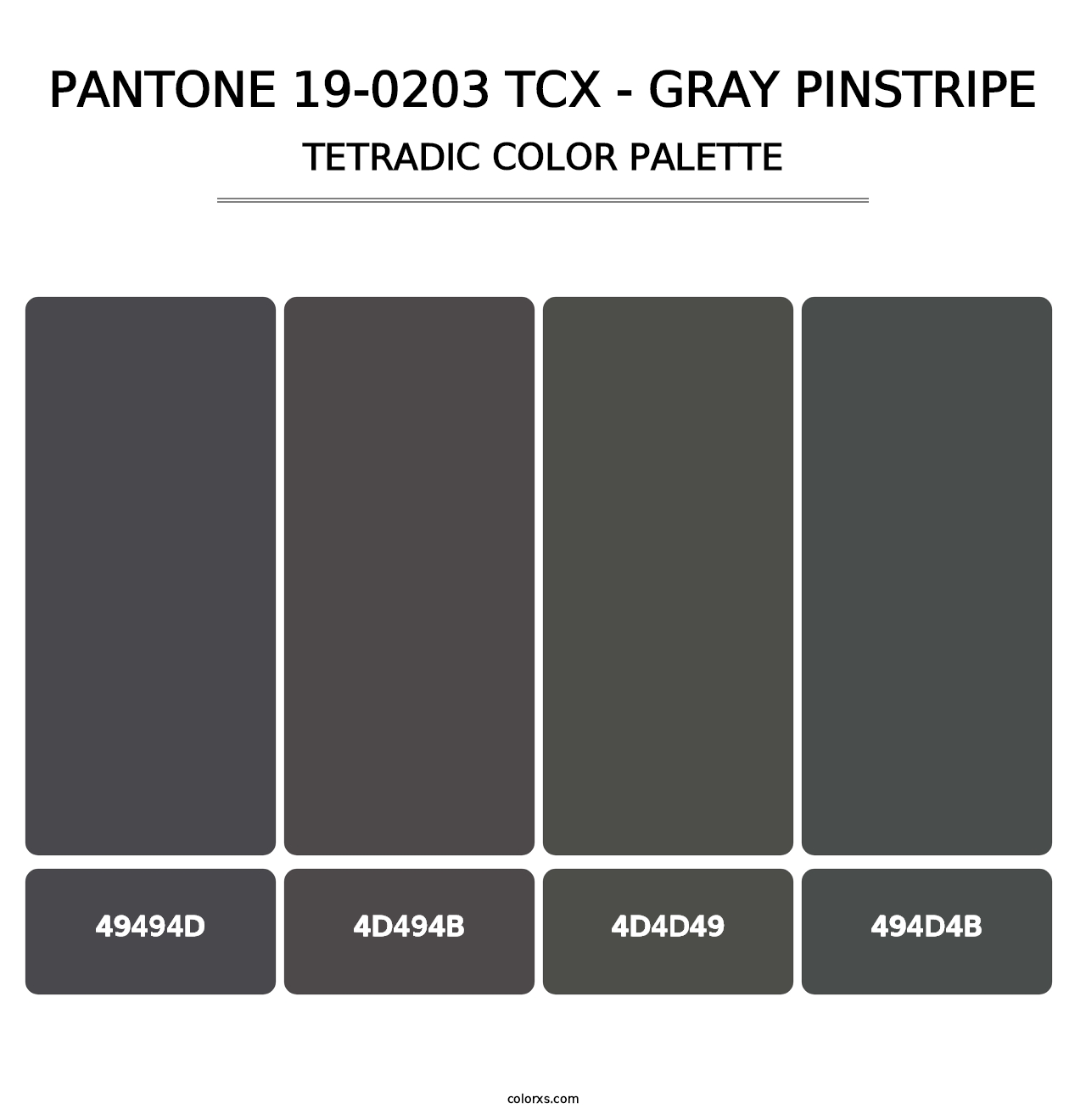 PANTONE 19-0203 TCX - Gray Pinstripe - Tetradic Color Palette