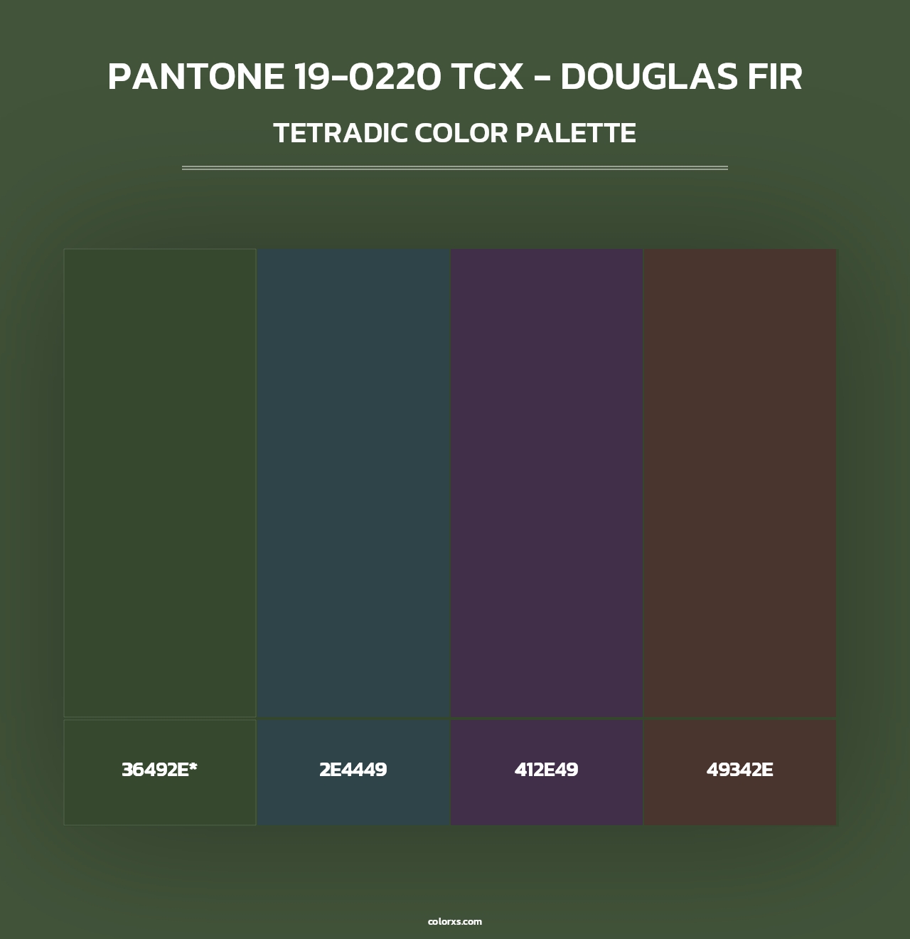 PANTONE 19-0220 TCX - Douglas Fir - Tetradic Color Palette