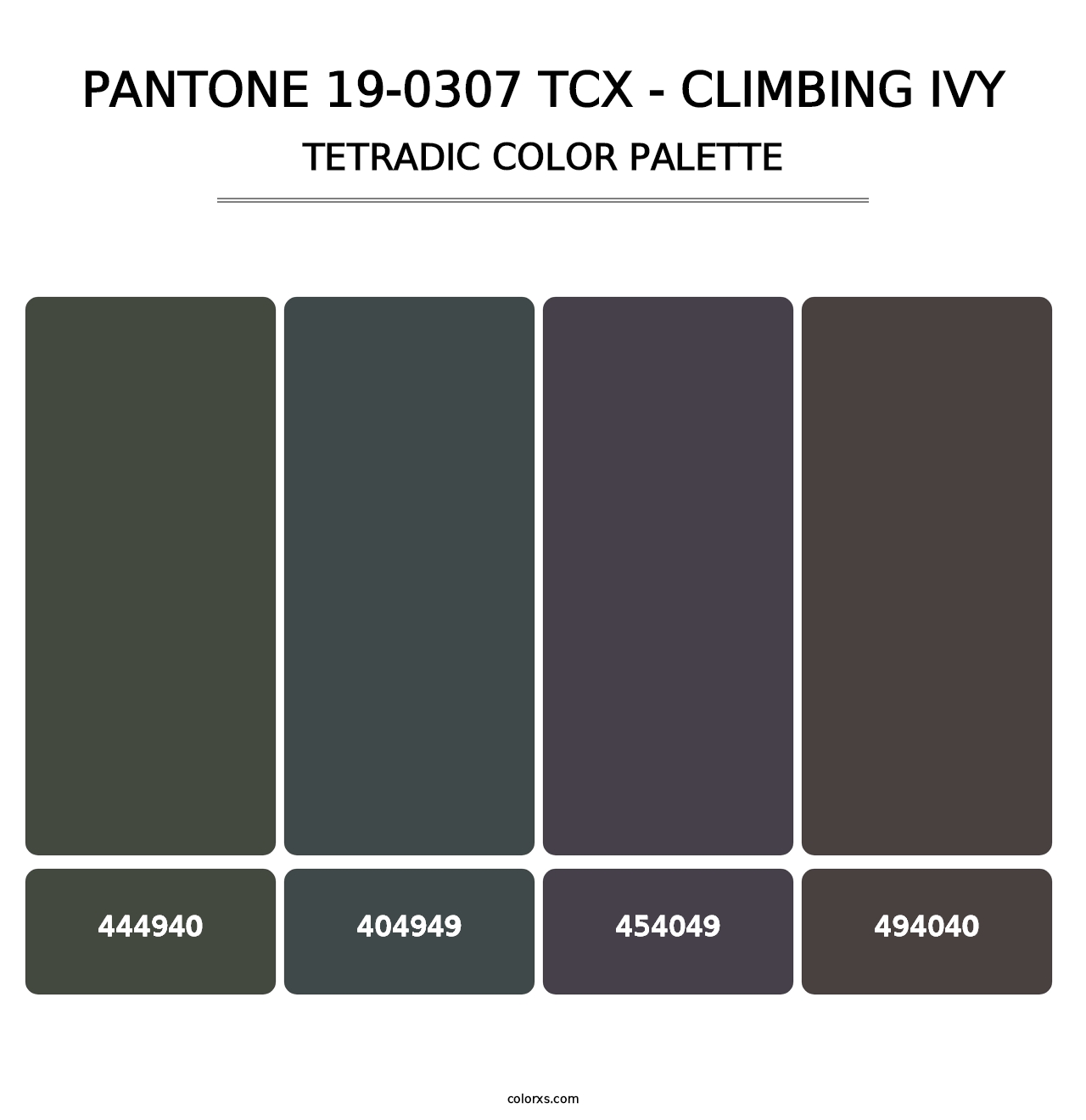 PANTONE 19-0307 TCX - Climbing Ivy - Tetradic Color Palette
