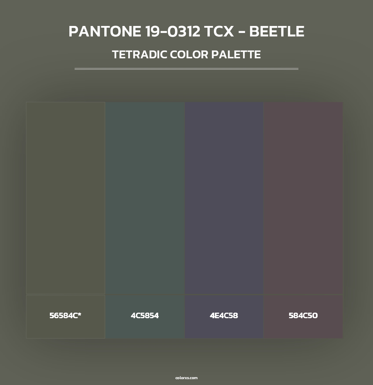 PANTONE 19-0312 TCX - Beetle - Tetradic Color Palette