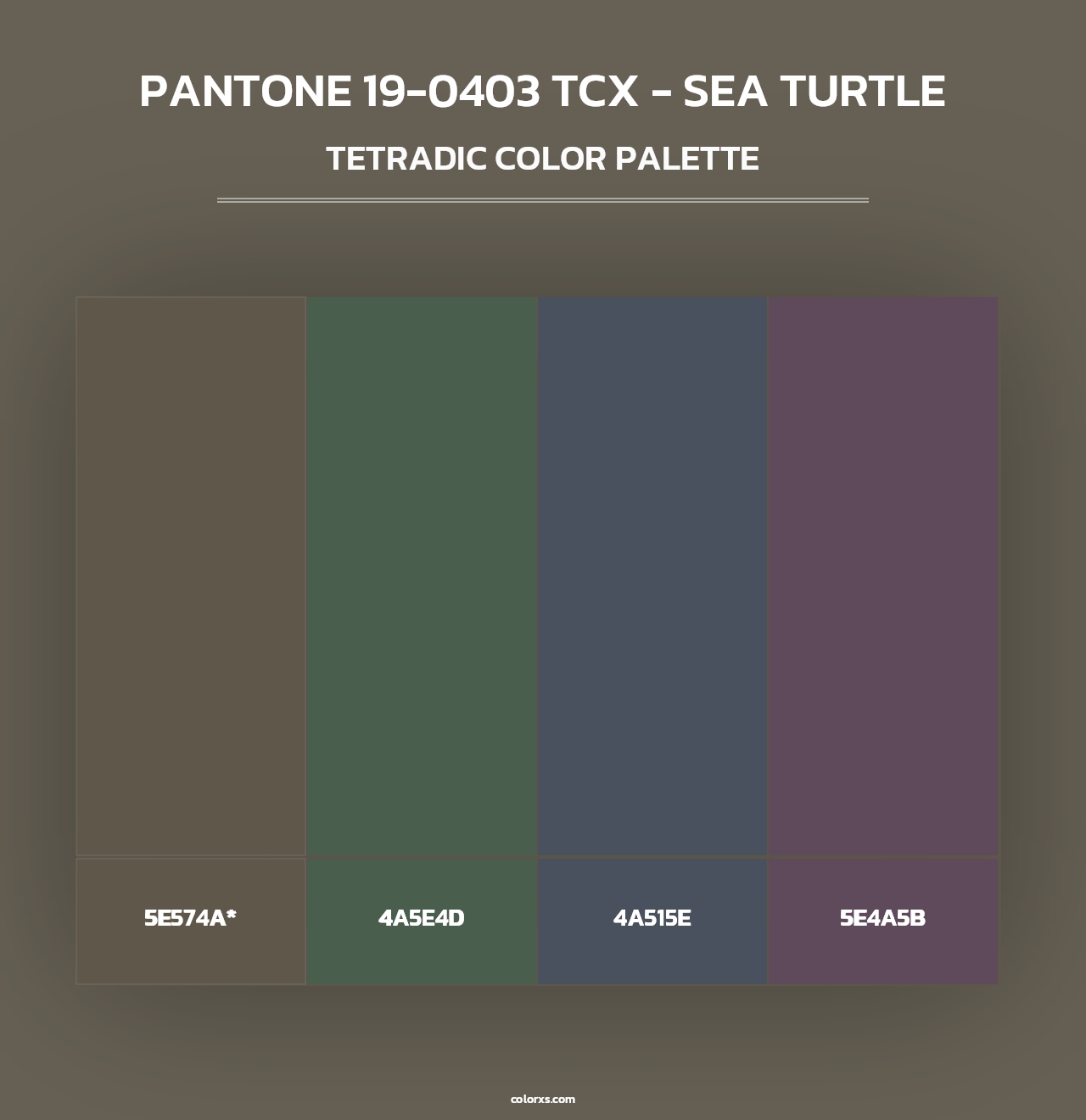 PANTONE 19-0403 TCX - Sea Turtle - Tetradic Color Palette