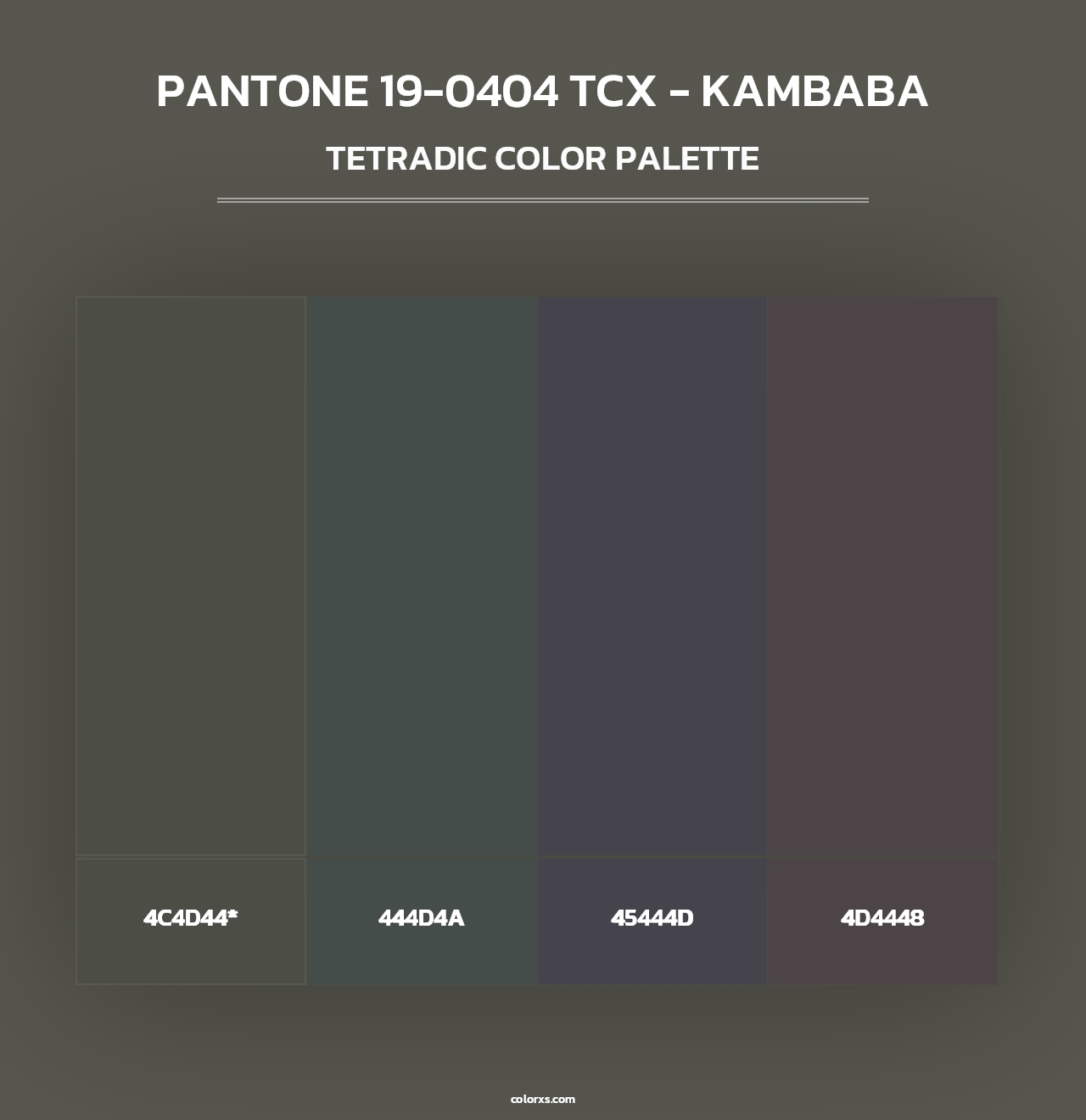 PANTONE 19-0404 TCX - Kambaba - Tetradic Color Palette