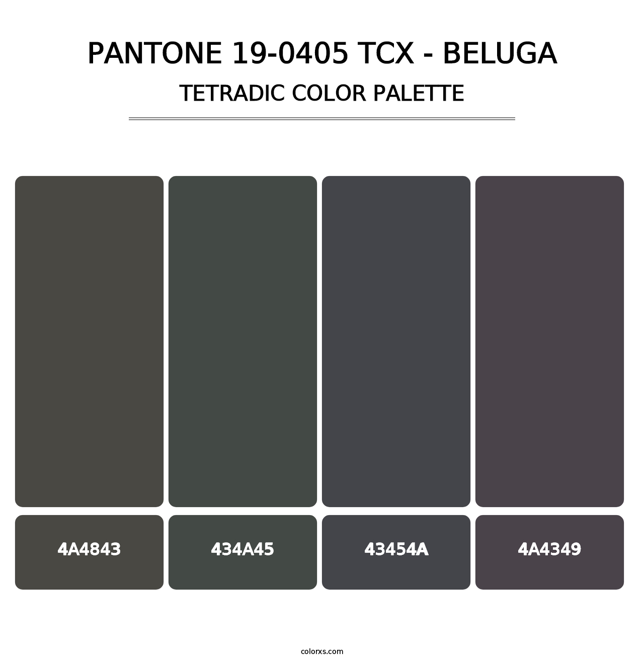 PANTONE 19-0405 TCX - Beluga - Tetradic Color Palette