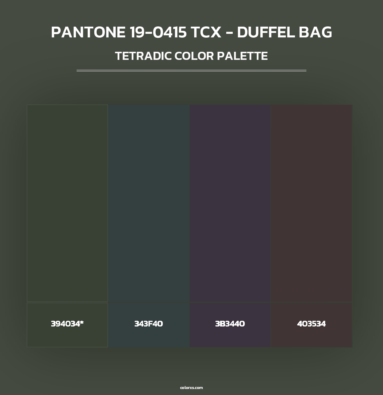 PANTONE 19-0415 TCX - Duffel Bag - Tetradic Color Palette