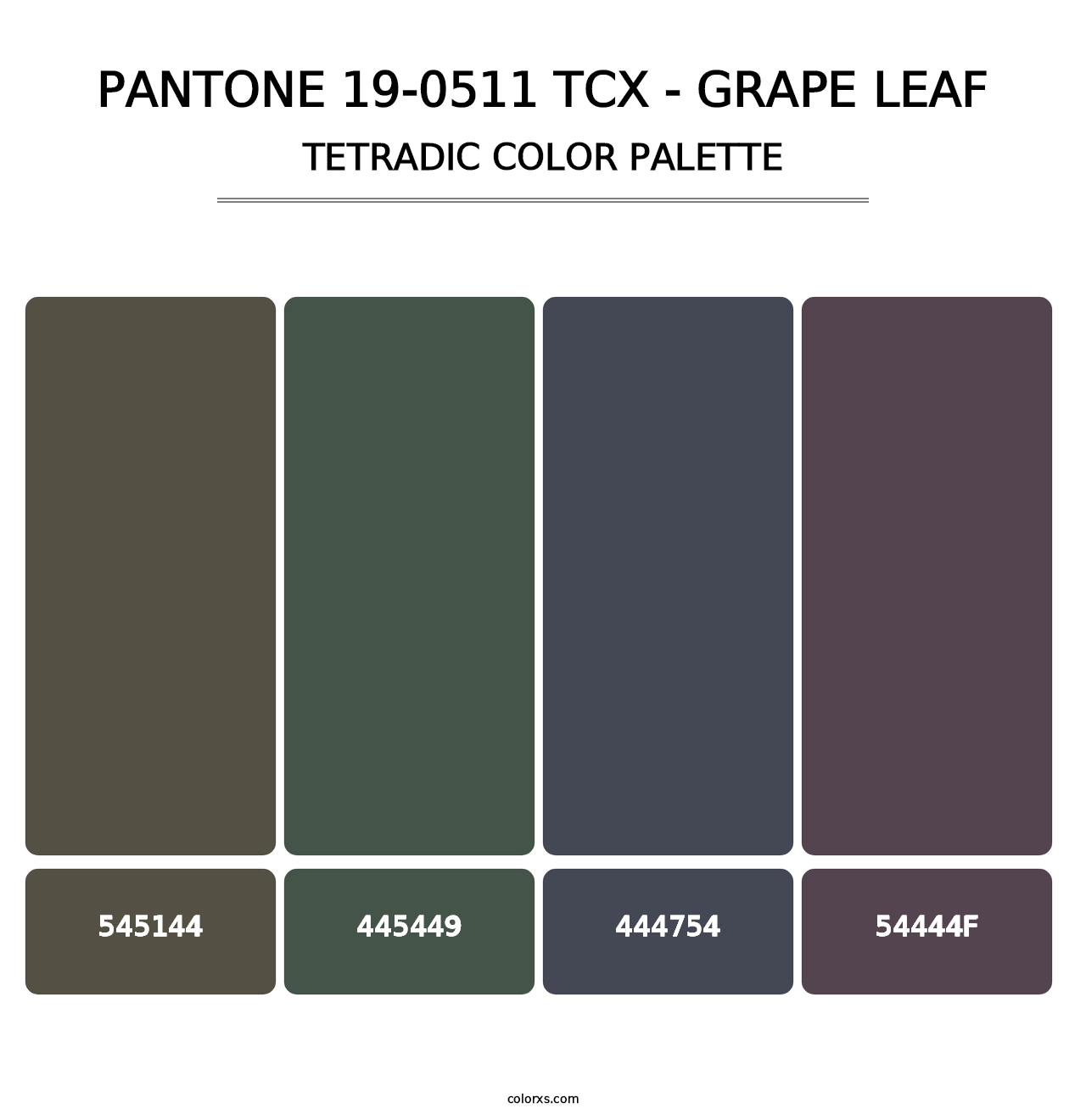 PANTONE 19-0511 TCX - Grape Leaf - Tetradic Color Palette