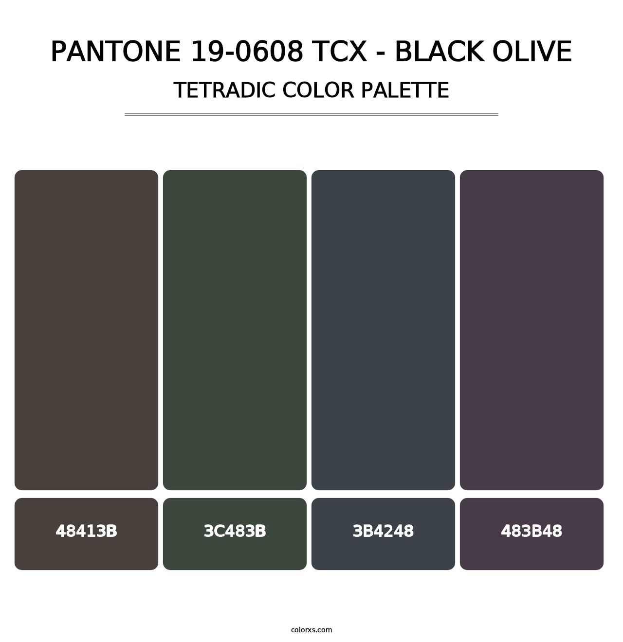 PANTONE 19-0608 TCX - Black Olive - Tetradic Color Palette