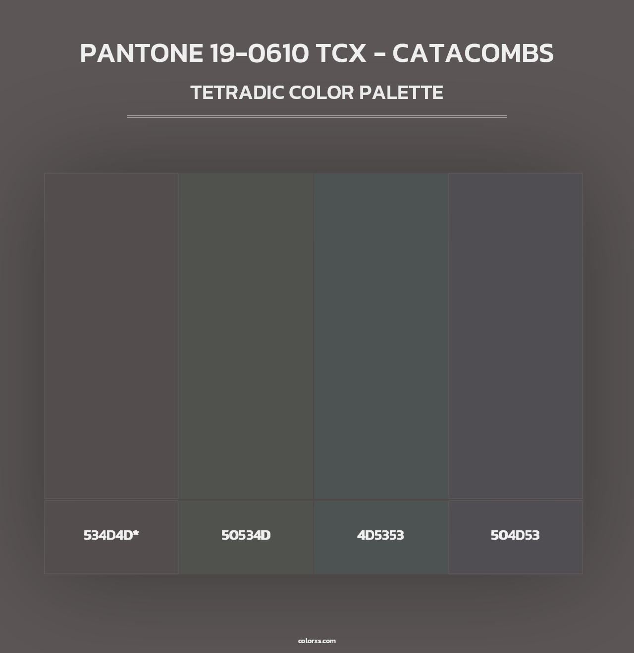 PANTONE 19-0610 TCX - Catacombs - Tetradic Color Palette