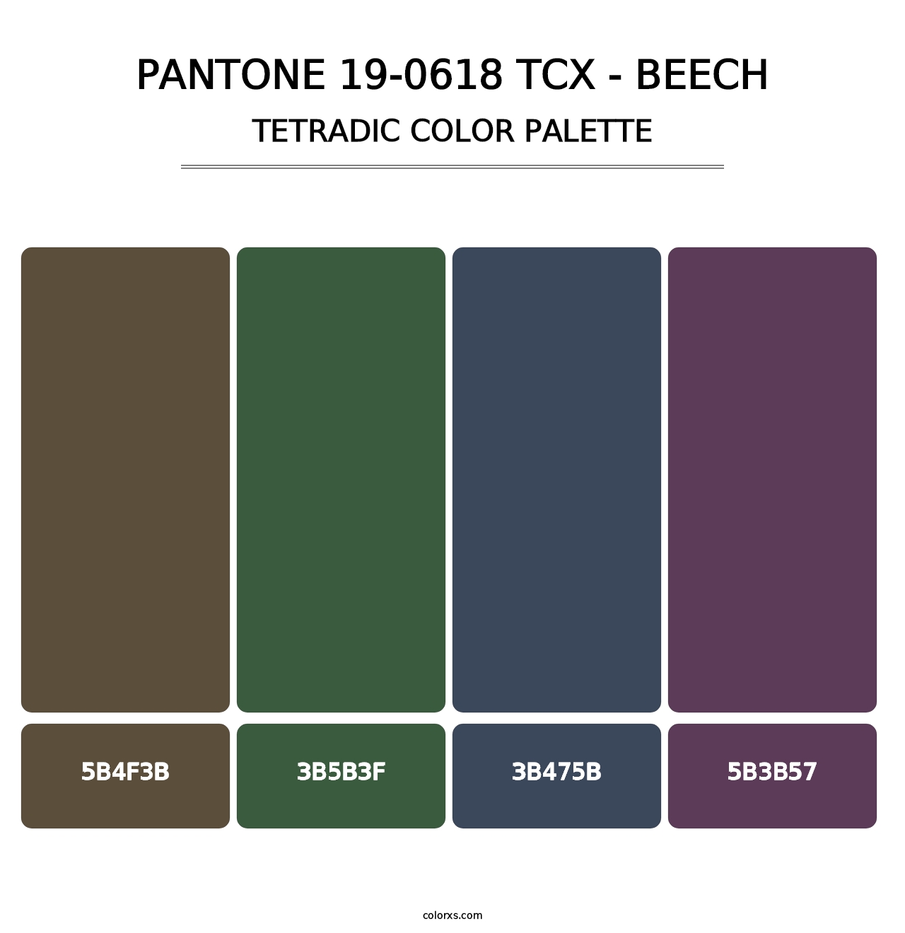 PANTONE 19-0618 TCX - Beech - Tetradic Color Palette