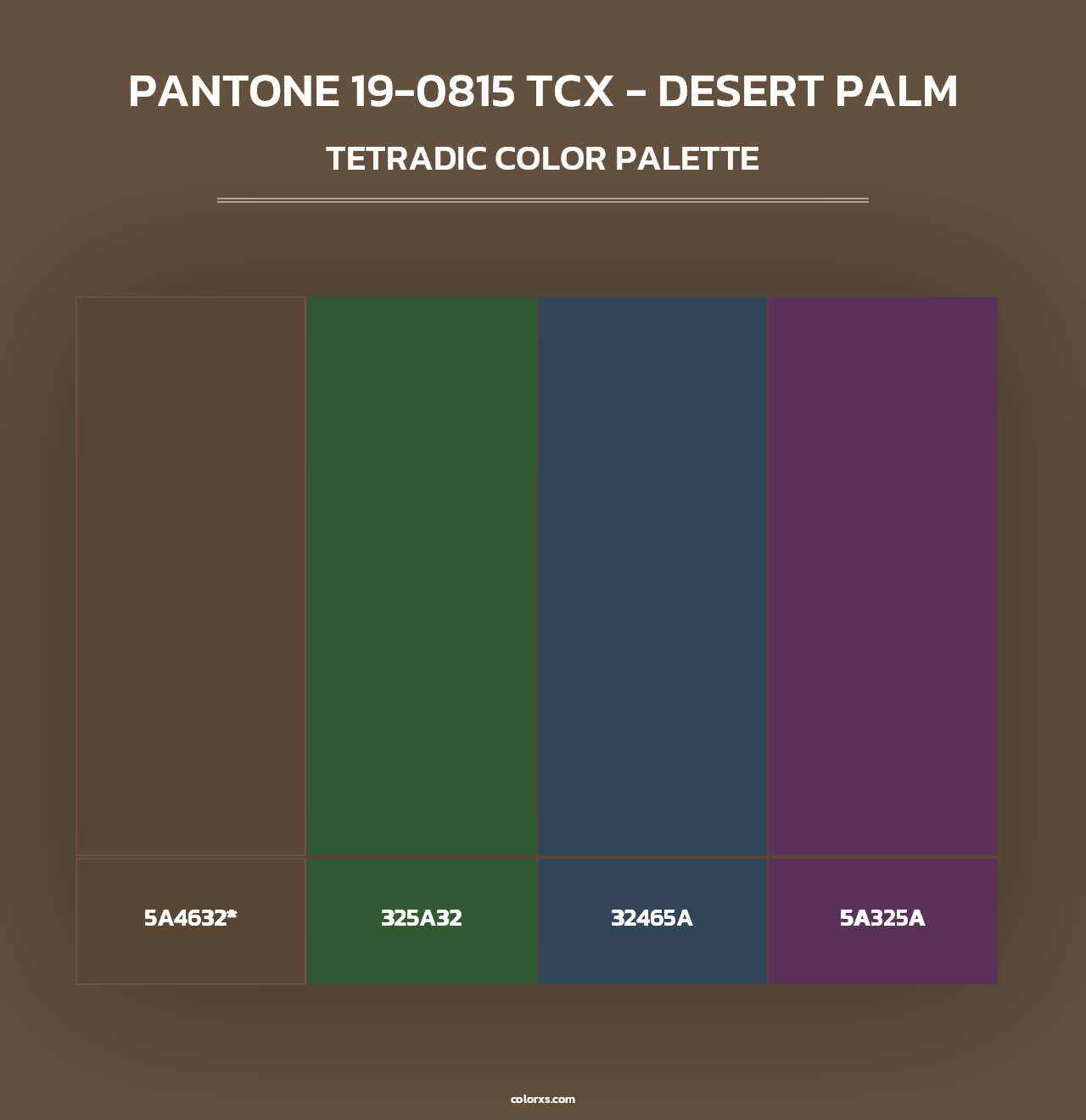 PANTONE 19-0815 TCX - Desert Palm - Tetradic Color Palette