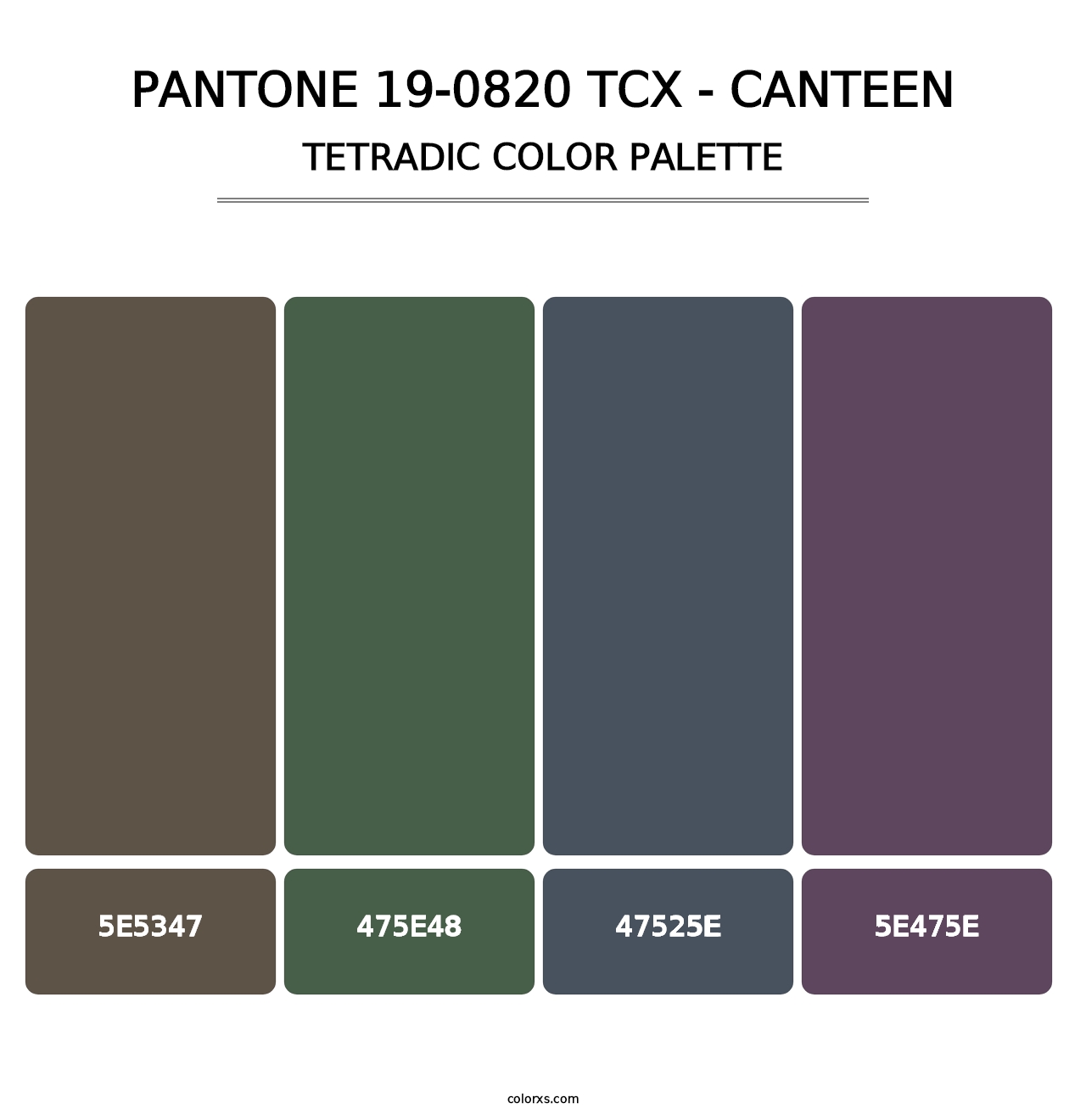 PANTONE 19-0820 TCX - Canteen - Tetradic Color Palette
