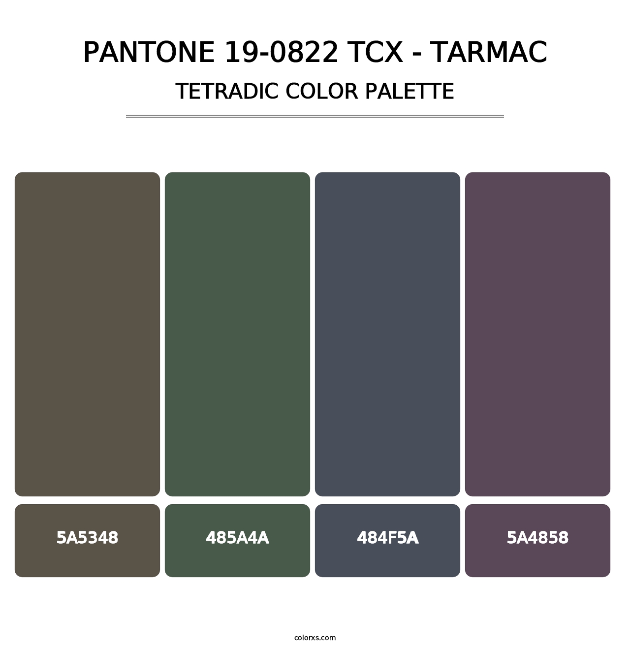 PANTONE 19-0822 TCX - Tarmac - Tetradic Color Palette