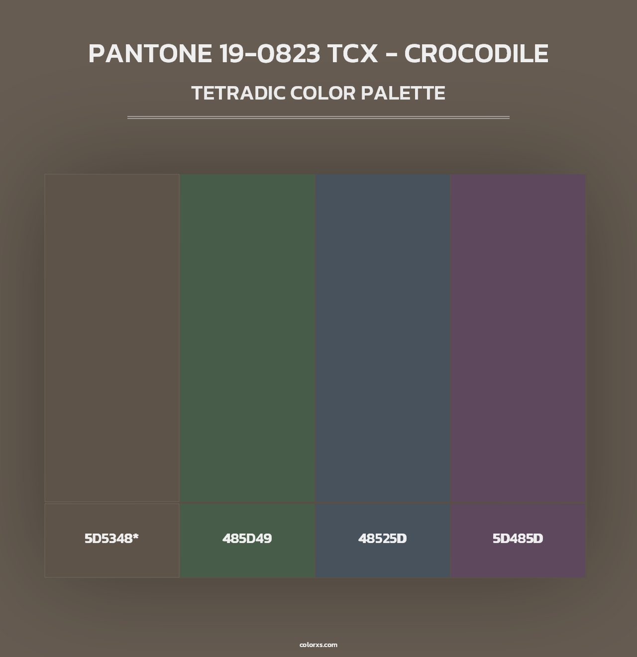 PANTONE 19-0823 TCX - Crocodile - Tetradic Color Palette