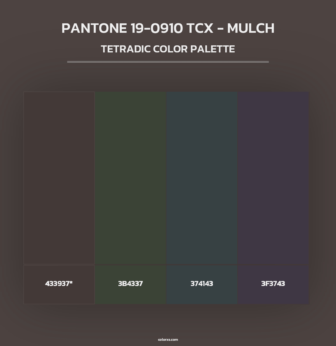 PANTONE 19-0910 TCX - Mulch - Tetradic Color Palette