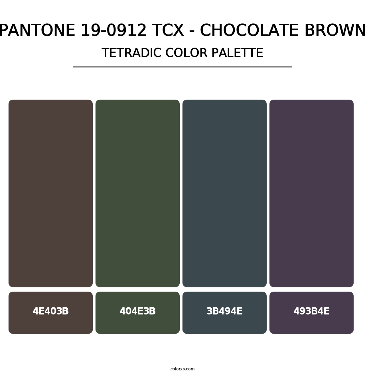 PANTONE 19-0912 TCX - Chocolate Brown - Tetradic Color Palette