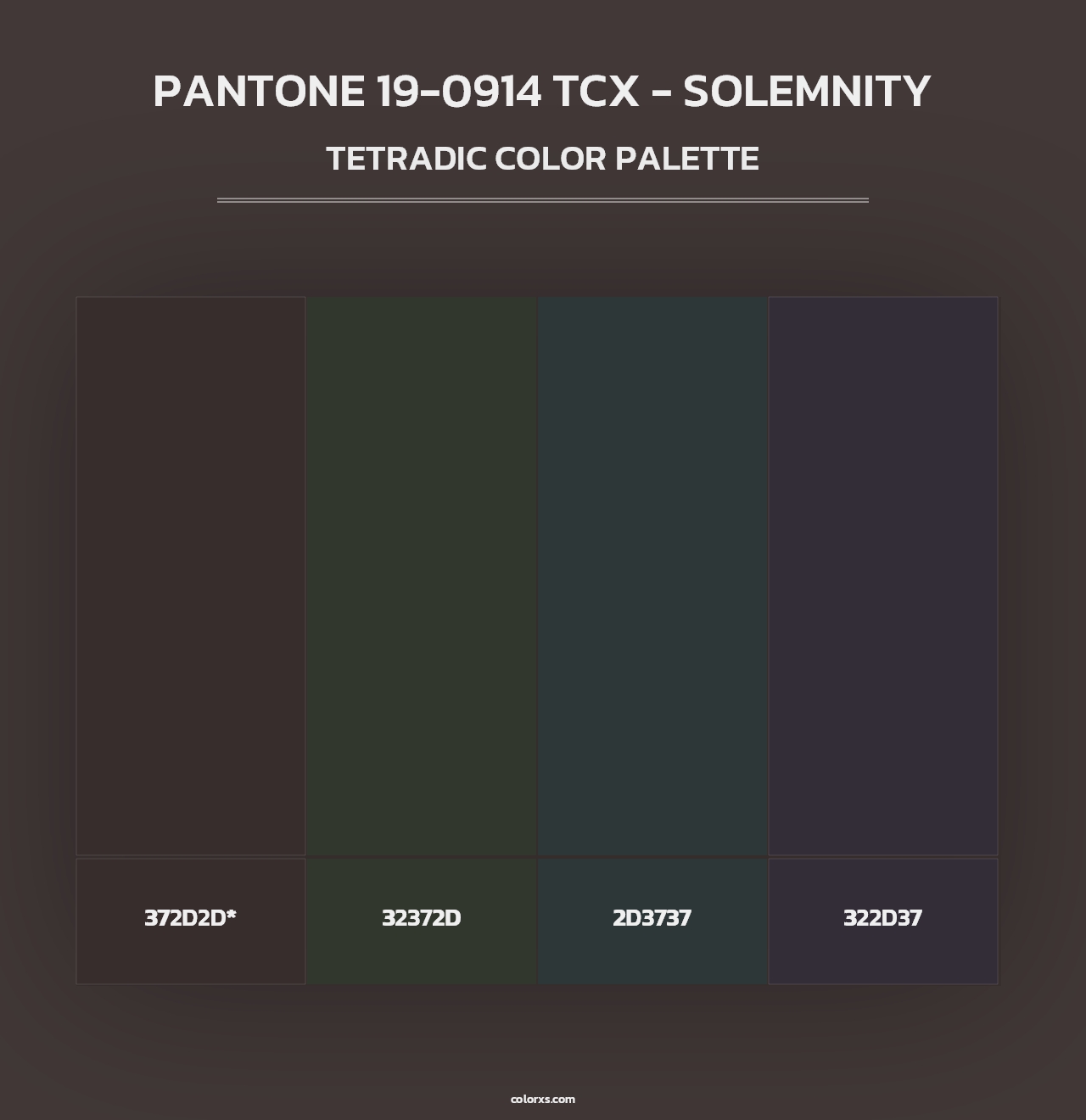 PANTONE 19-0914 TCX - Solemnity - Tetradic Color Palette