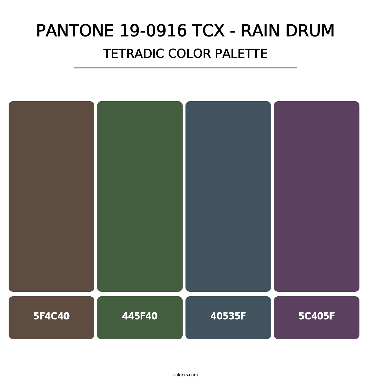 PANTONE 19-0916 TCX - Rain Drum - Tetradic Color Palette