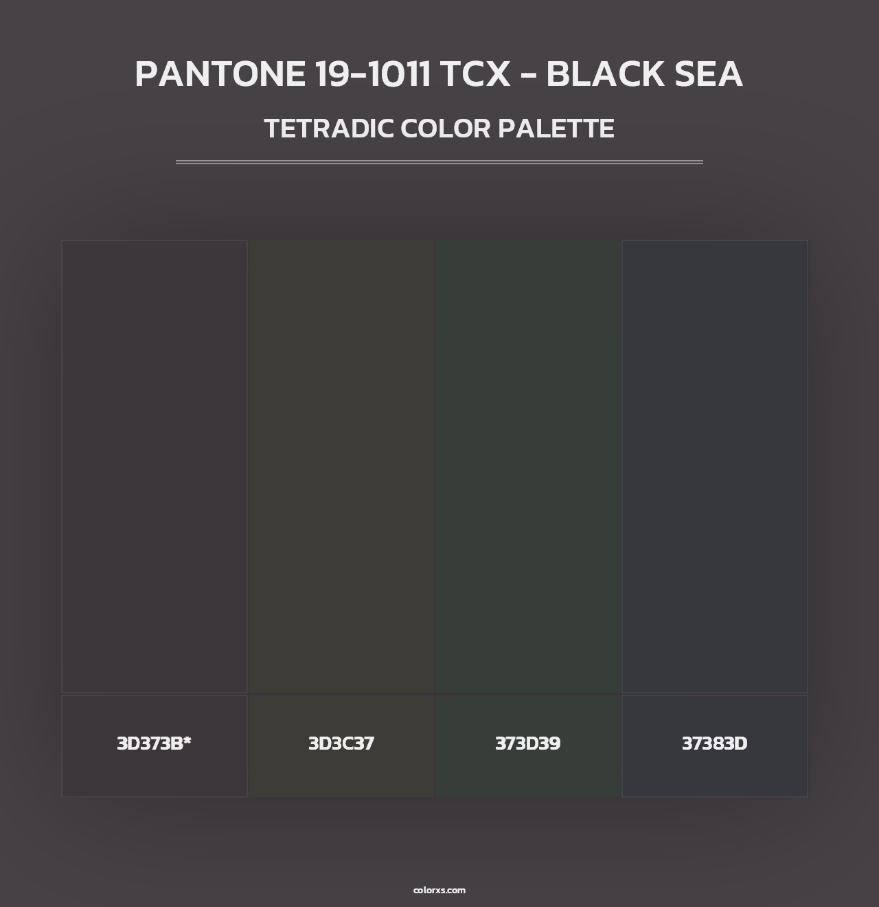 PANTONE 19-1011 TCX - Black Sea - Tetradic Color Palette