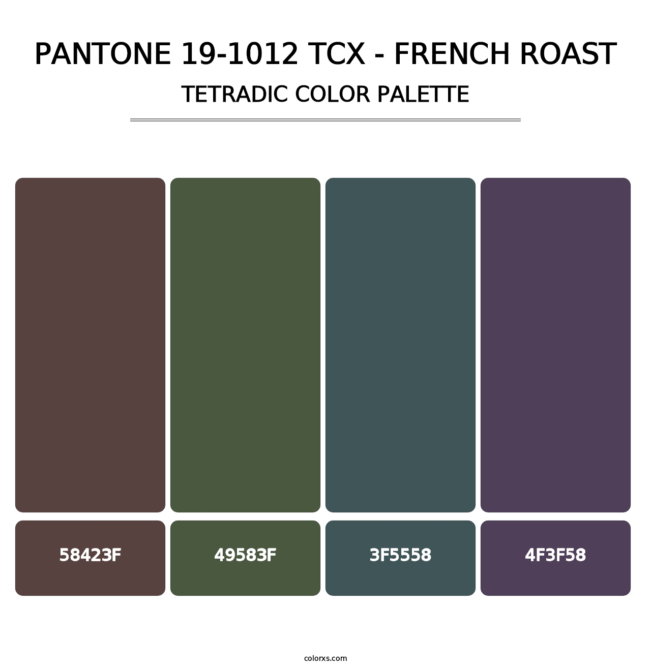 PANTONE 19-1012 TCX - French Roast - Tetradic Color Palette