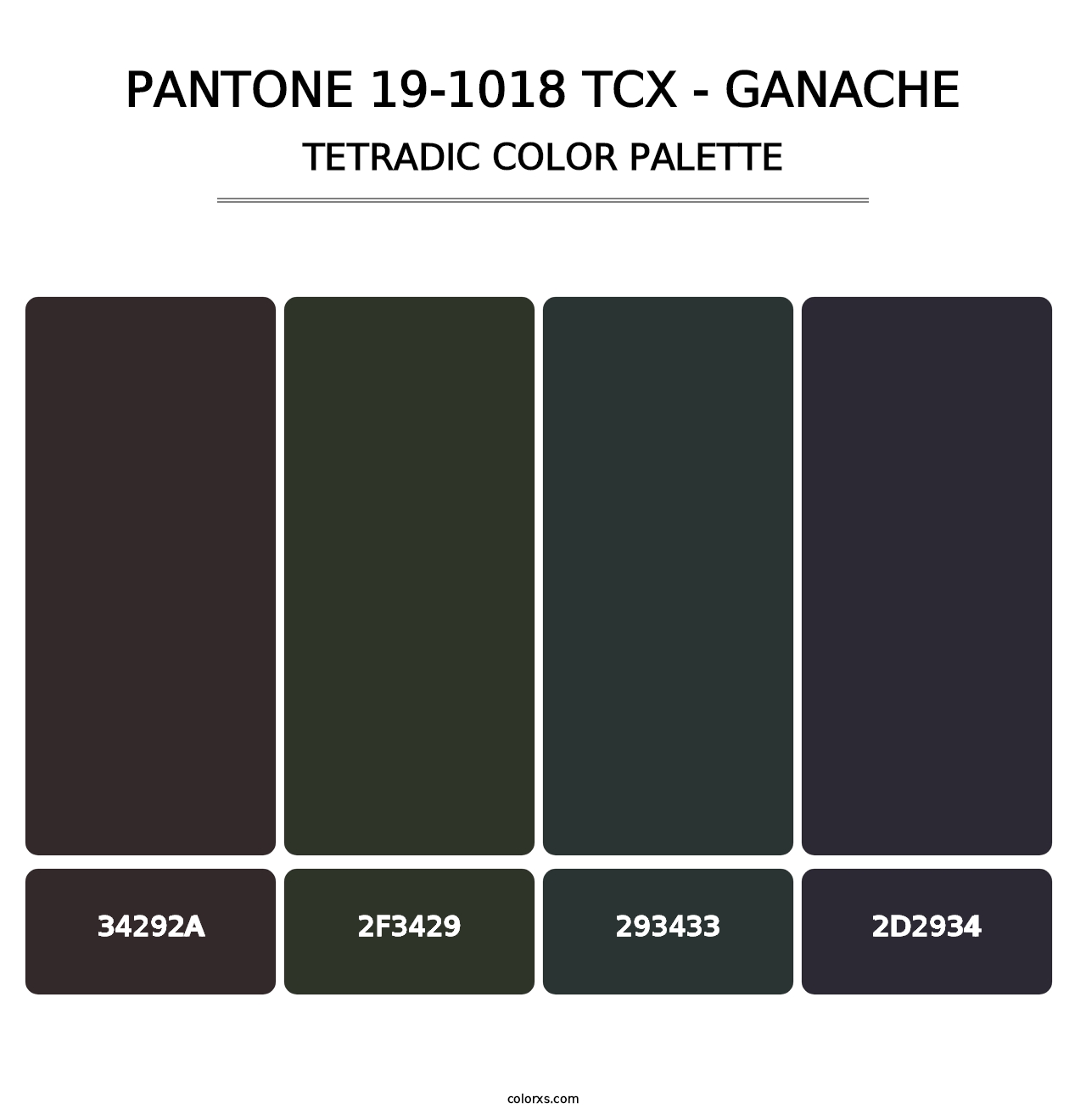 PANTONE 19-1018 TCX - Ganache - Tetradic Color Palette