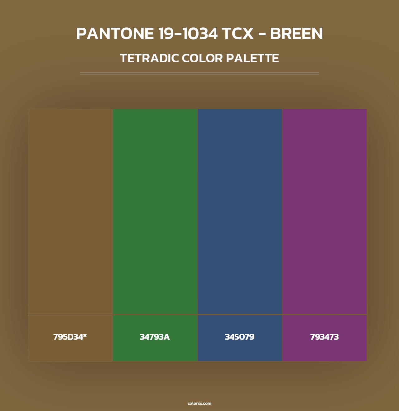 PANTONE 19-1034 TCX - Breen - Tetradic Color Palette