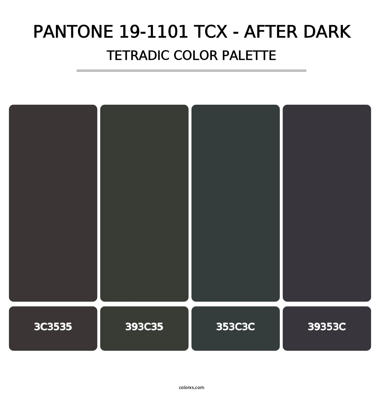 PANTONE 19-1101 TCX - After Dark - Tetradic Color Palette