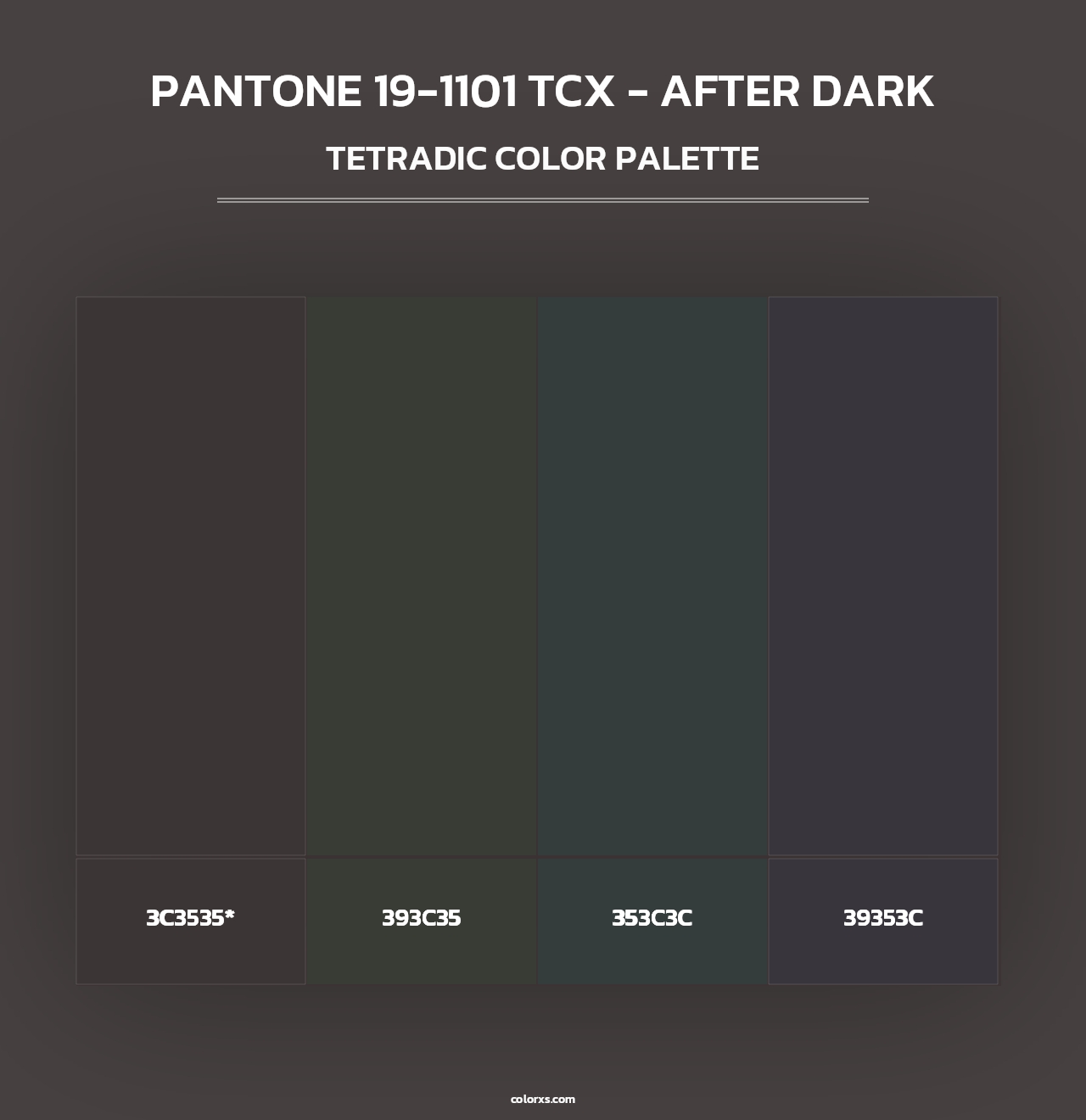 PANTONE 19-1101 TCX - After Dark - Tetradic Color Palette